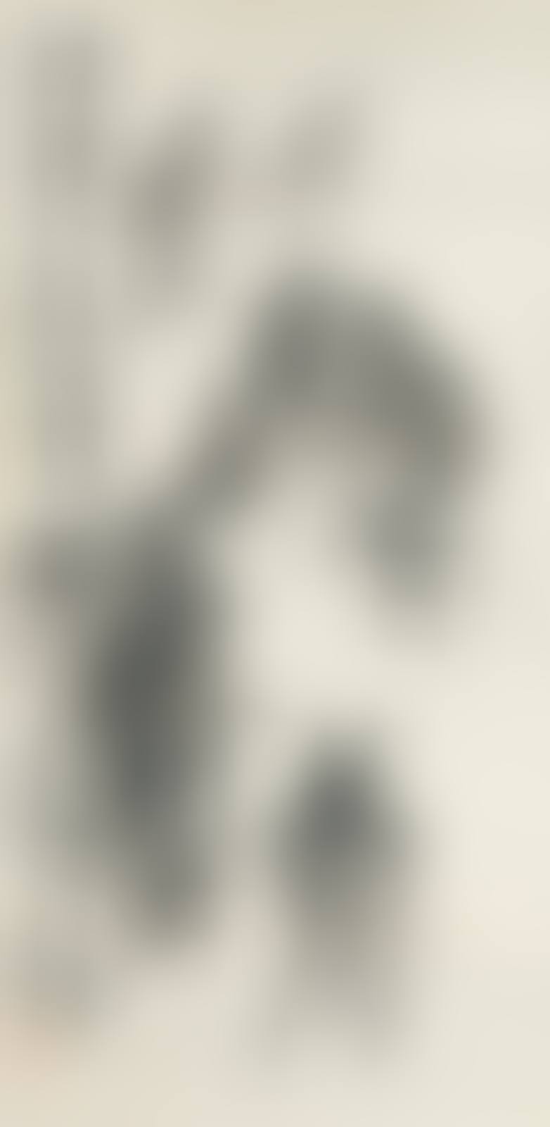 Seven Donkeys (preview)