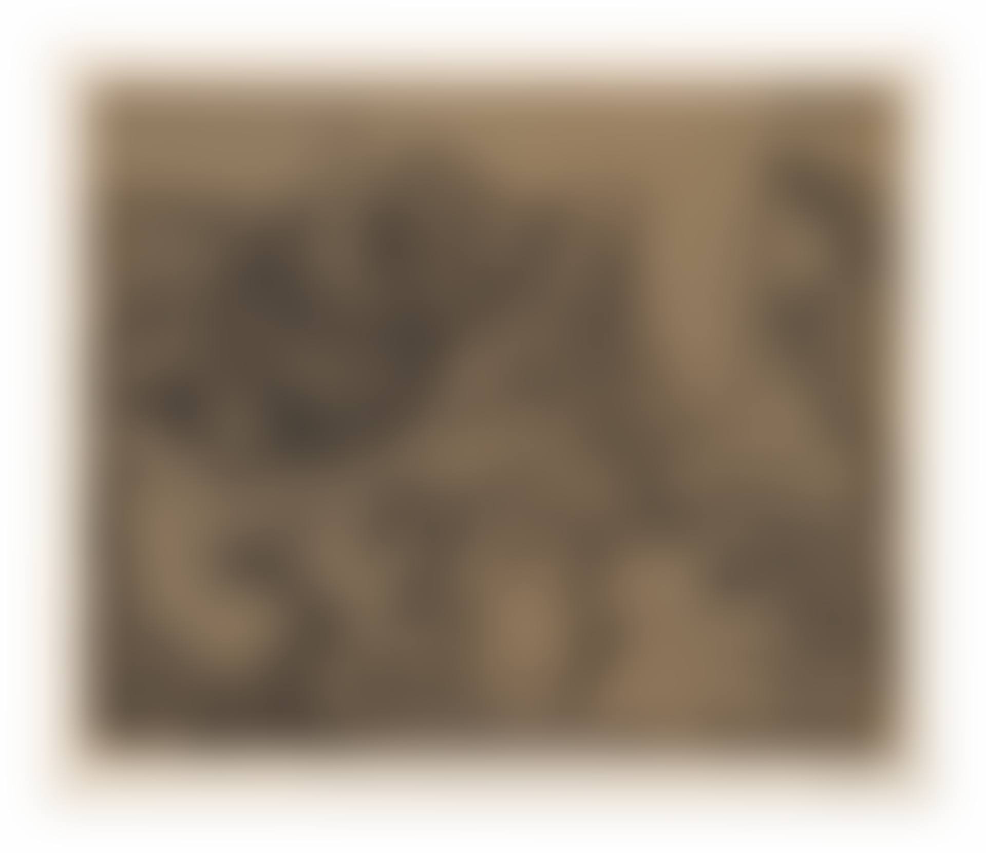 BACCHANALE AU HIBOU (B. 938; BA. 1265) (preview)