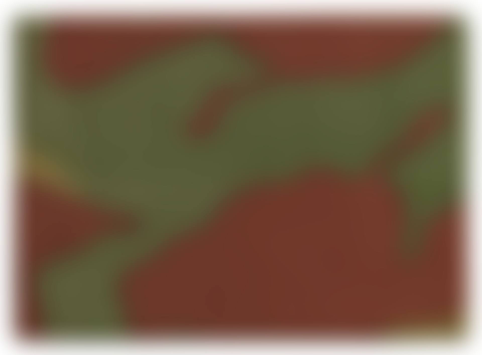 Mimetico (Camouflage) (preview)