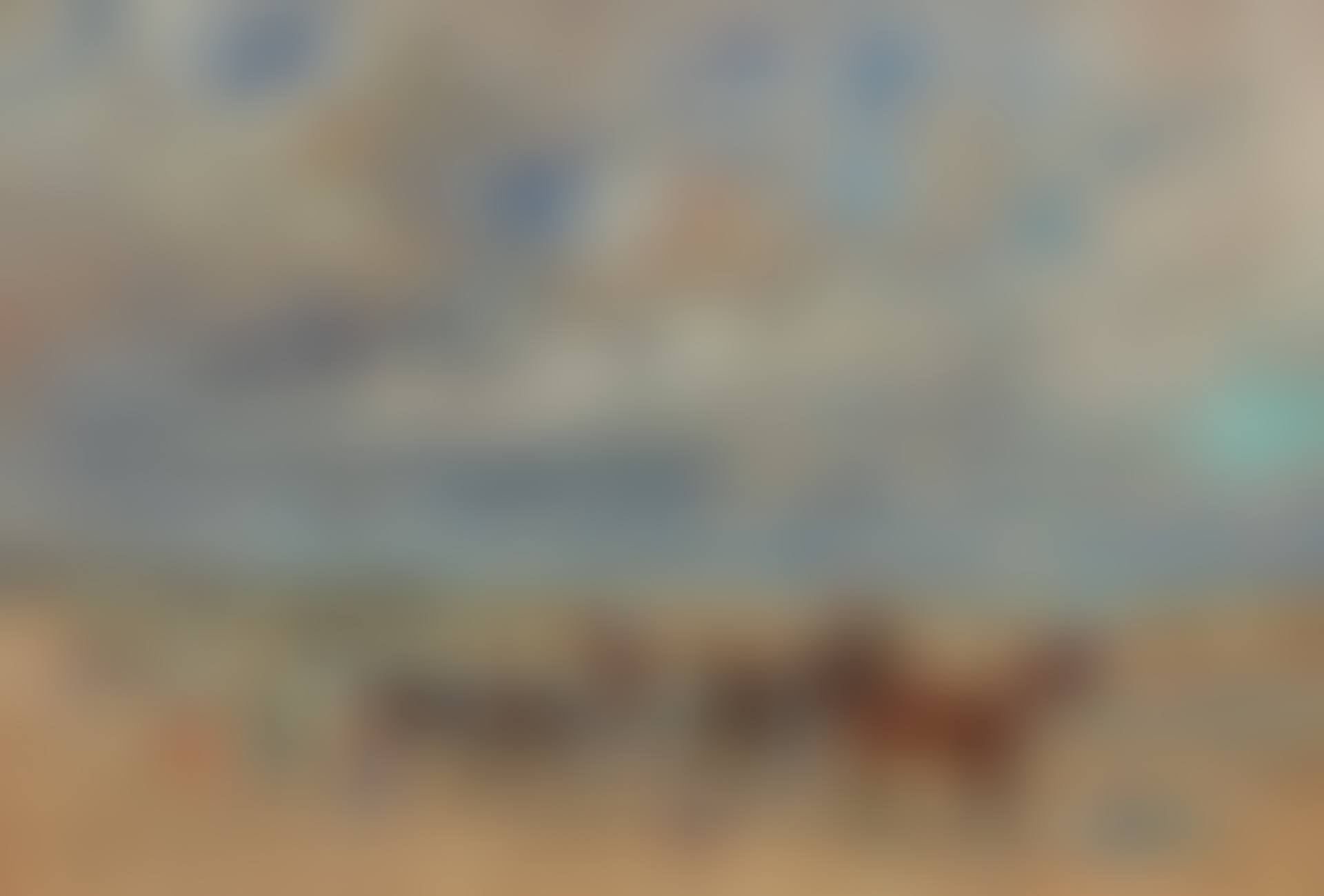 LES PETITS CHEVAUX, MARÉE BASSE (preview)