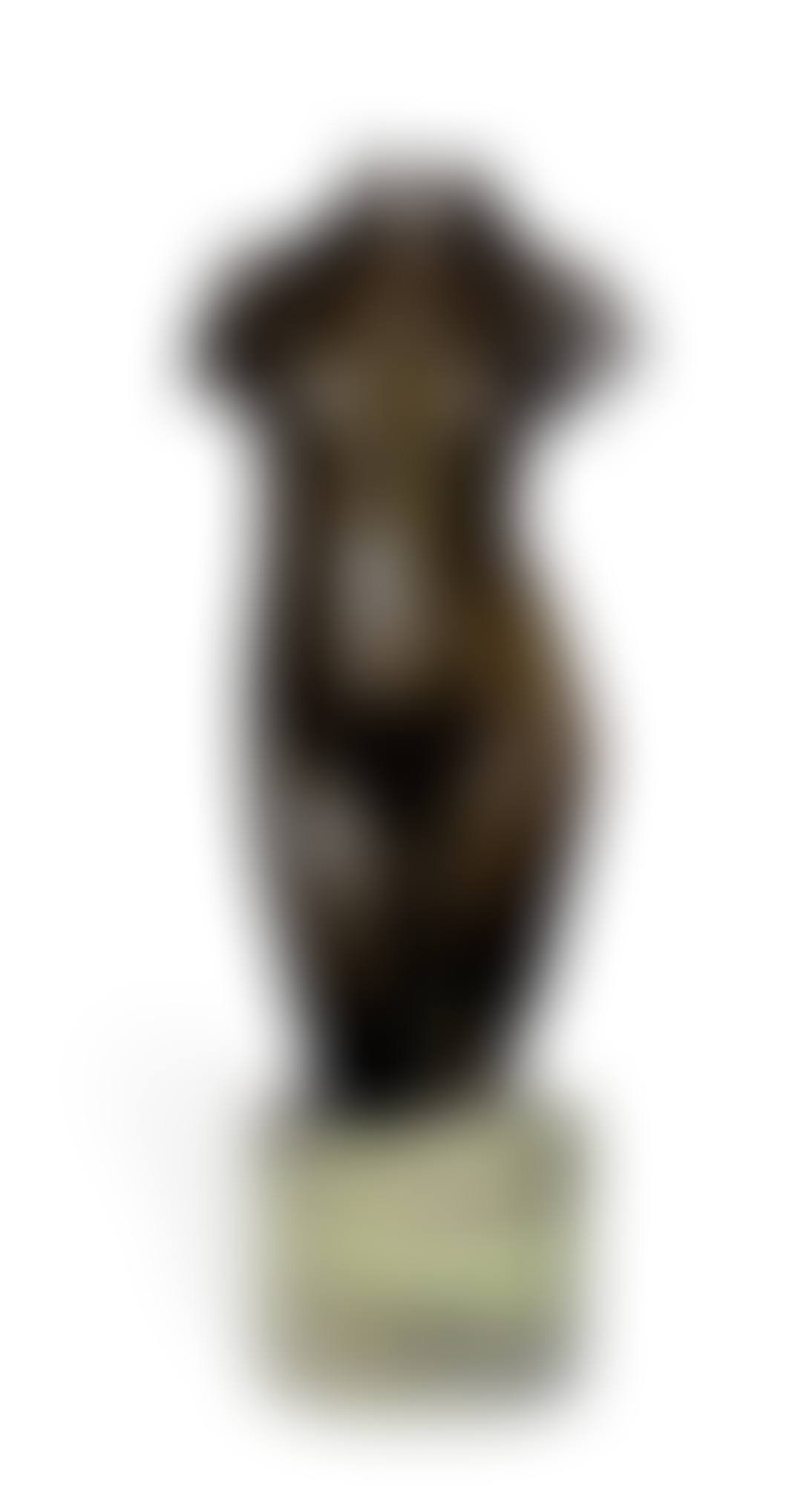 Torso (preview)