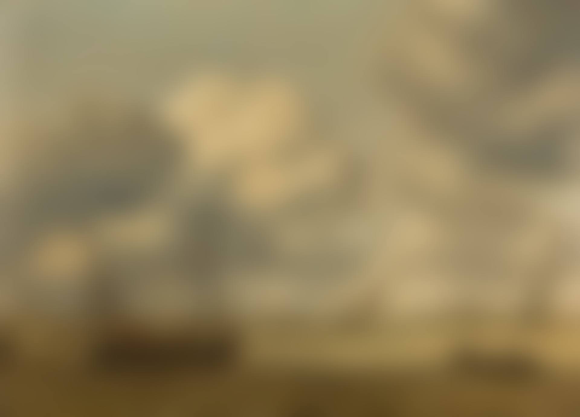 COASTAL SCENE WITH SMALL VESSELS IN A CHOPPY SEA (preview)