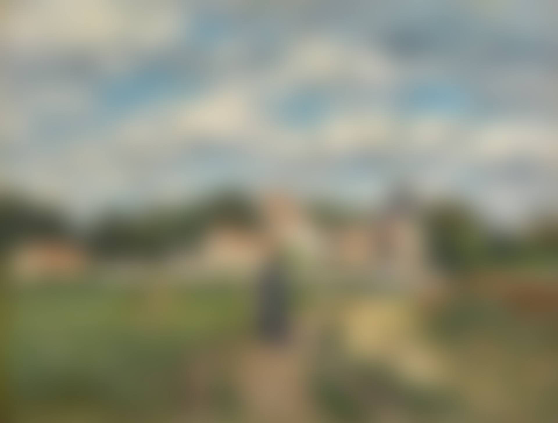 ENTRÉE DU VILLAGE (preview)