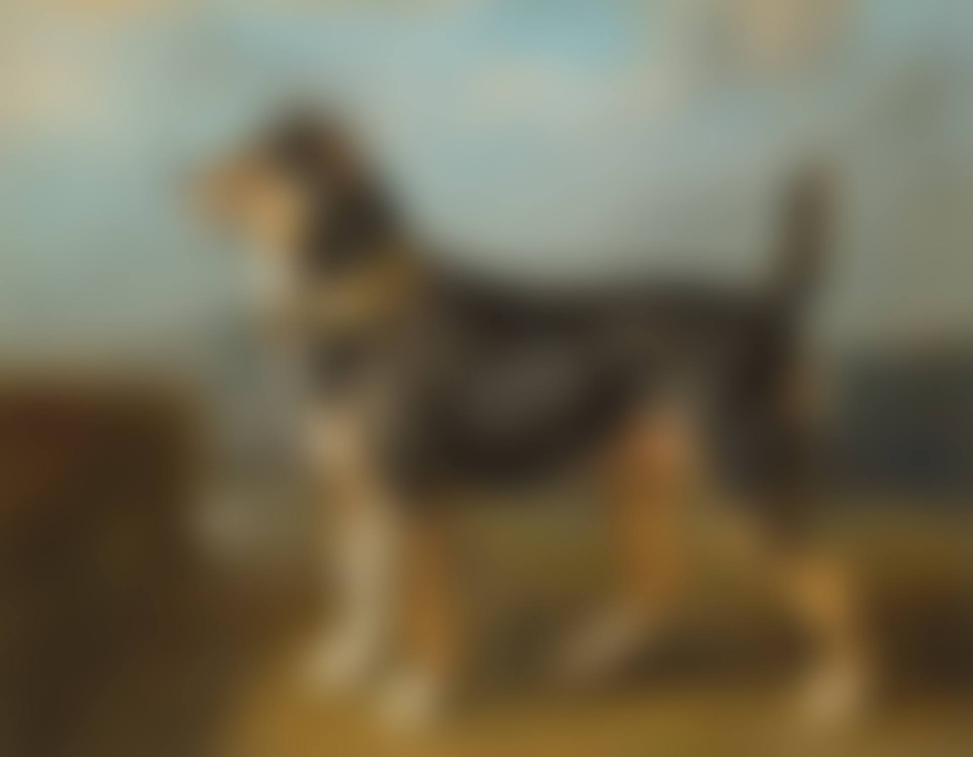 A terrier in a landscape (preview)