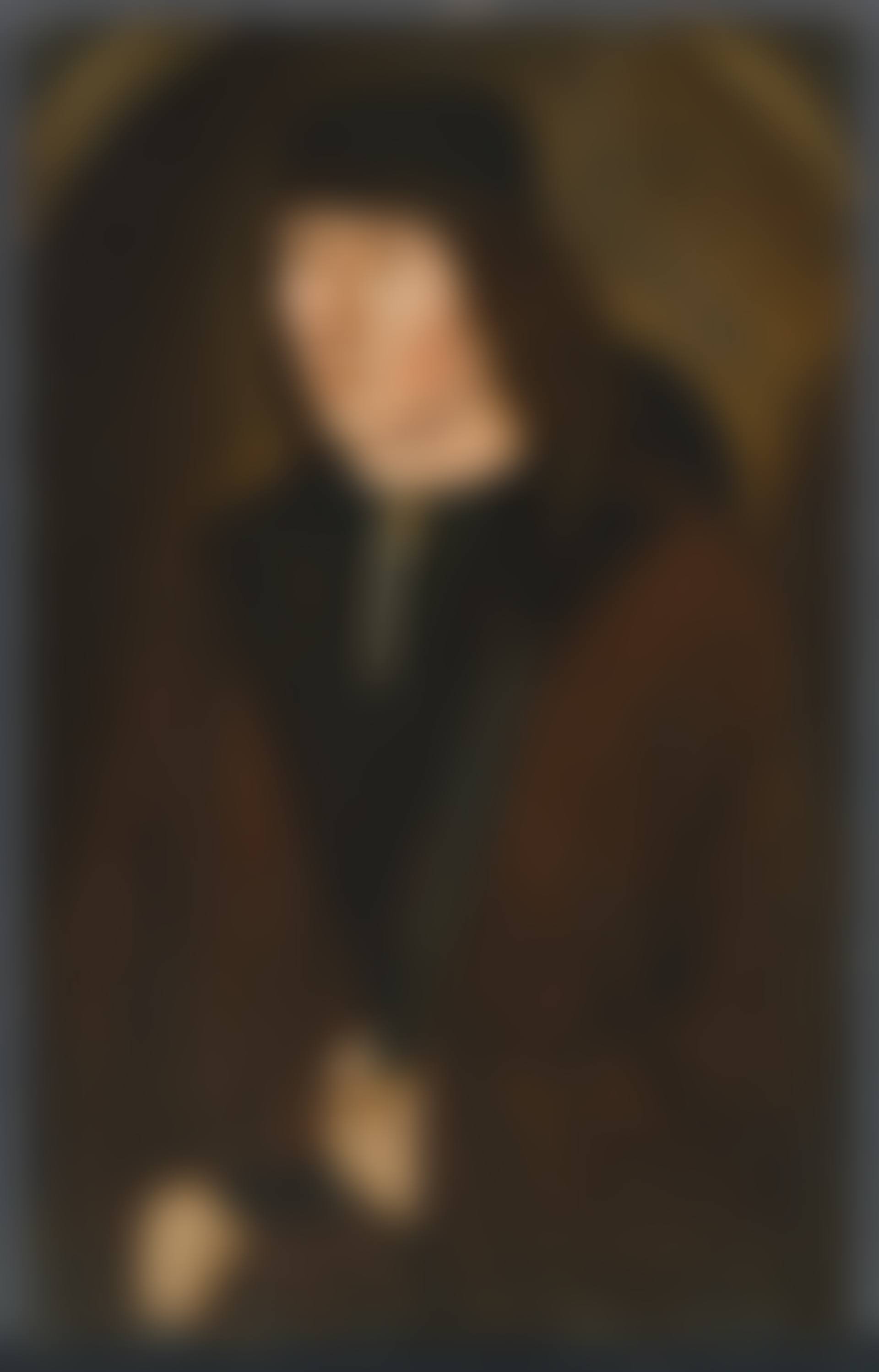 Portrait of a young man, traditionally identified as John Colet, Dean of Saint Paul's (1467-1519), half-length, in a brown coat (preview)