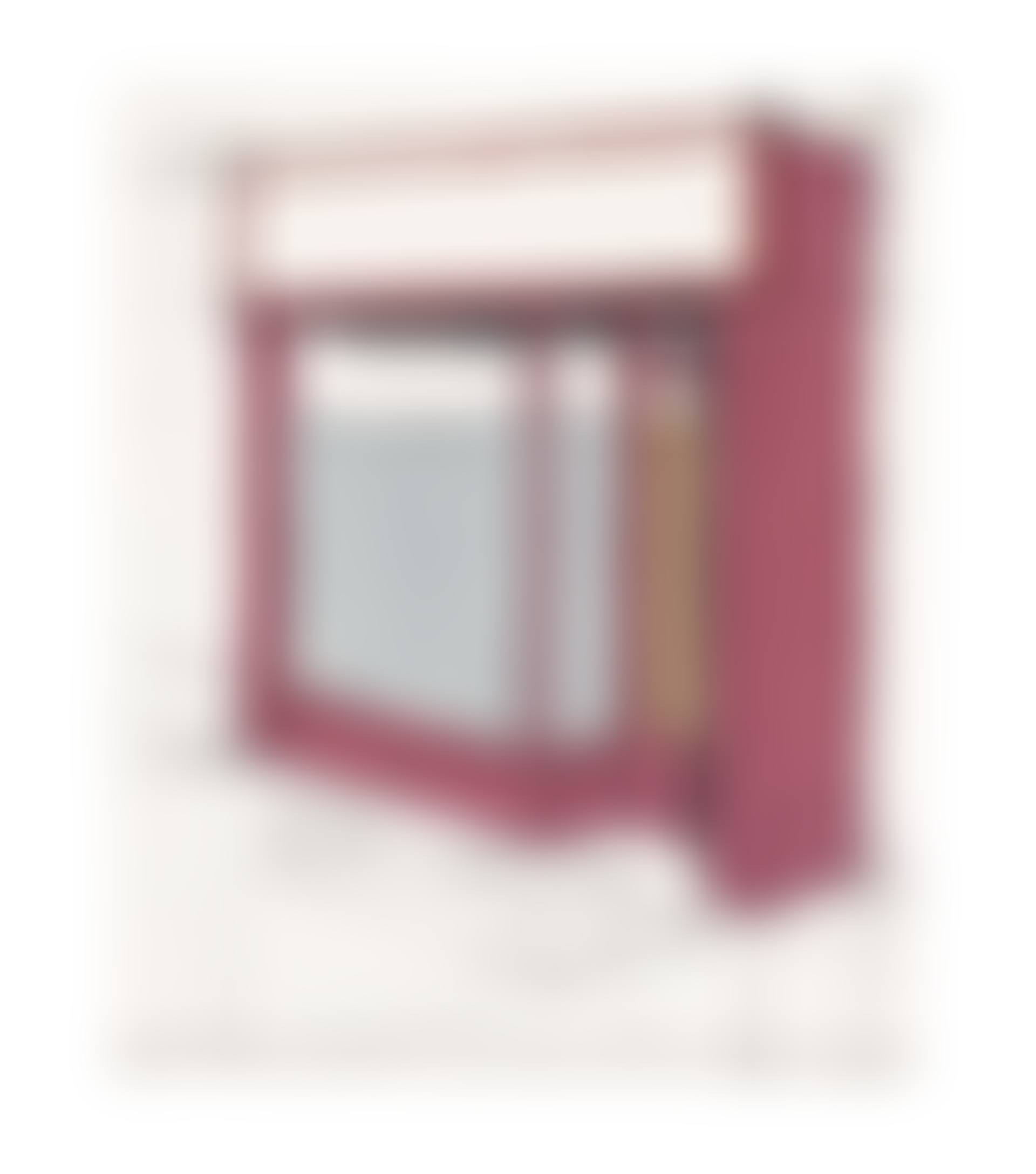 Pink Store Front, Project, from Marginalia, Homage to Shimizu (preview)