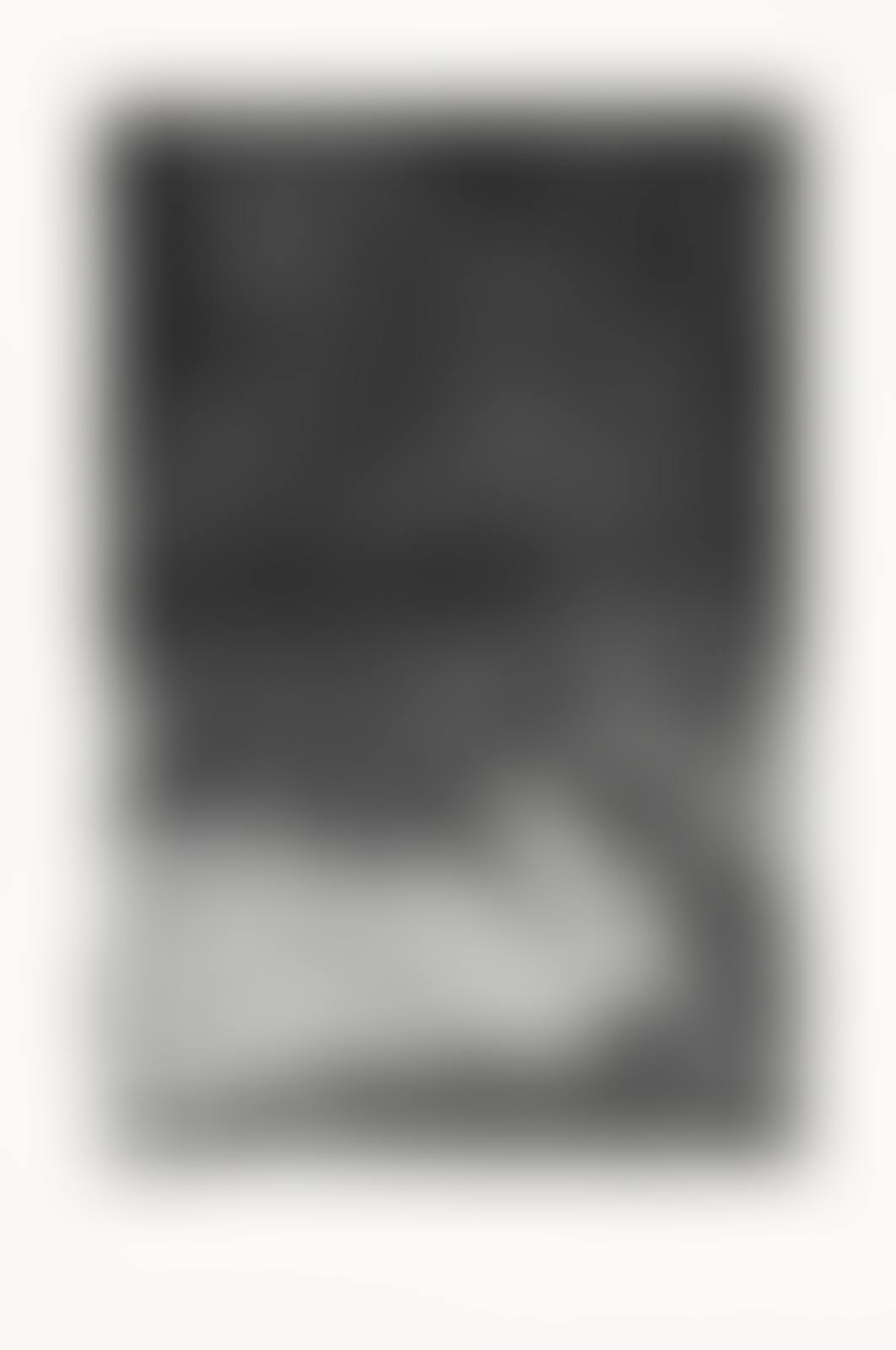 Untitled Press: plate #3 (preview)