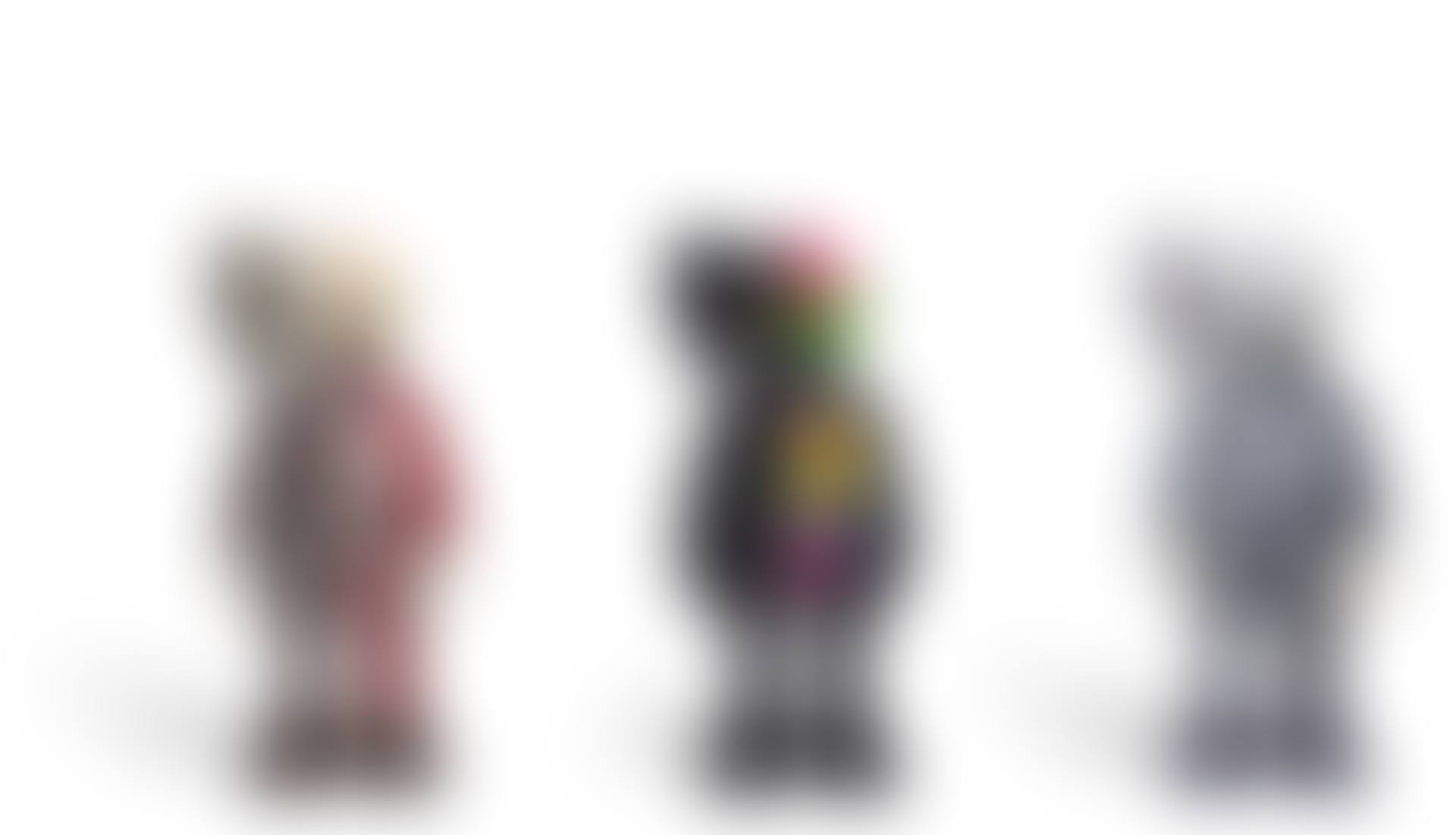 DISSECTED COMPANION (BROWN), DISSECTED COMPANION (BLACK), DISSECTED COMPANION (GREY) (preview)