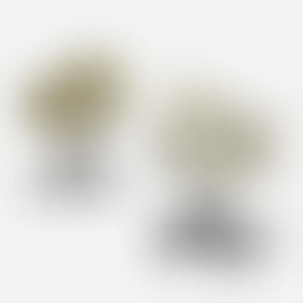 Executive armchairs, pair (preview)