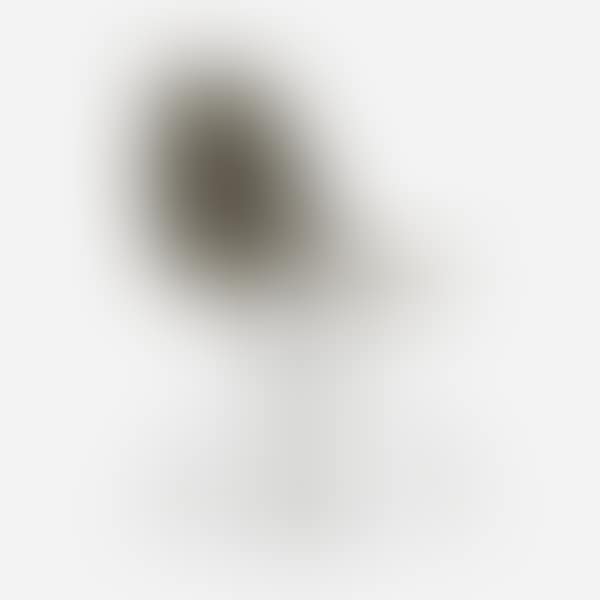 DSR (preview)