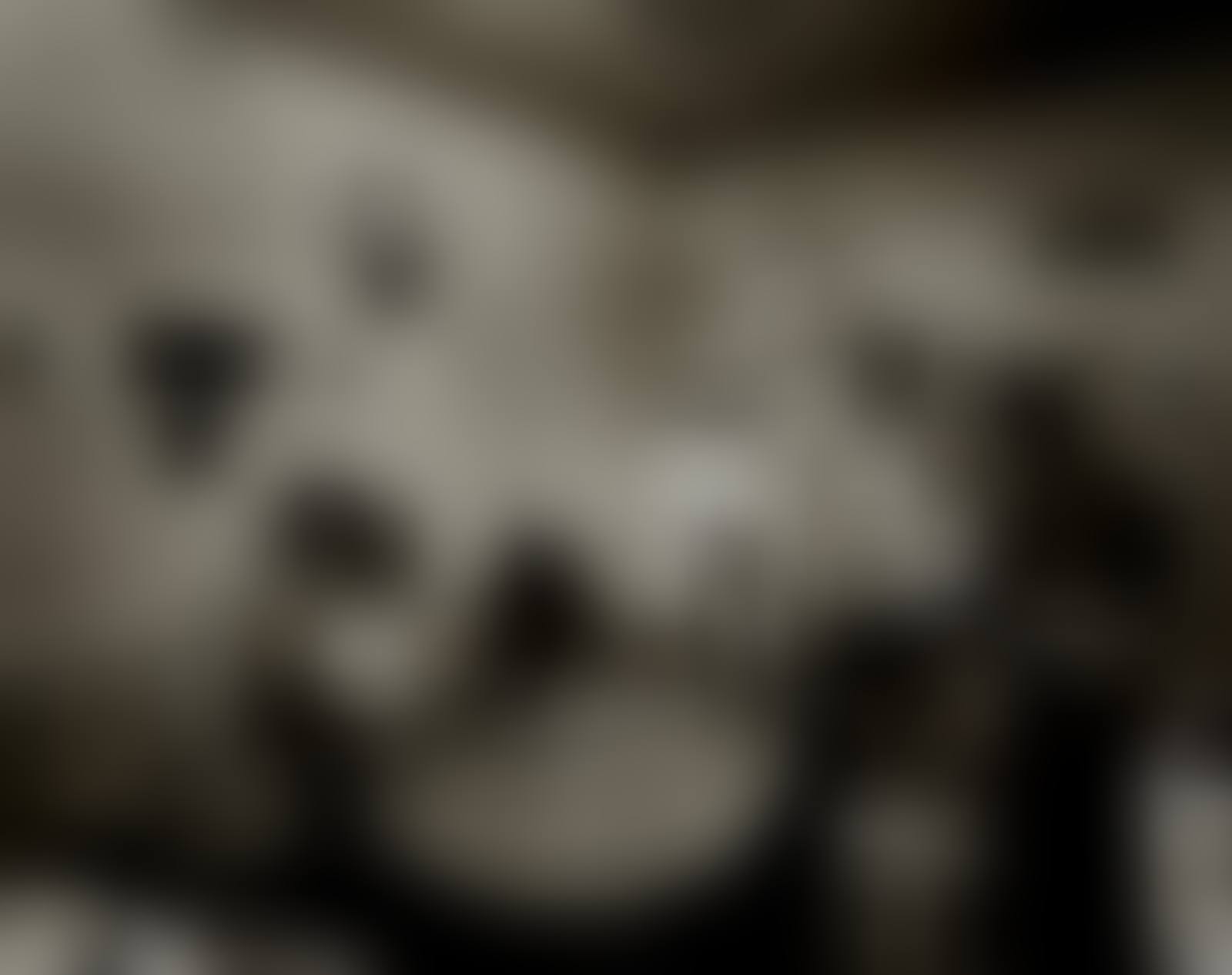 Untitled (Family in kitchen),  from "East 100th Street" (preview)