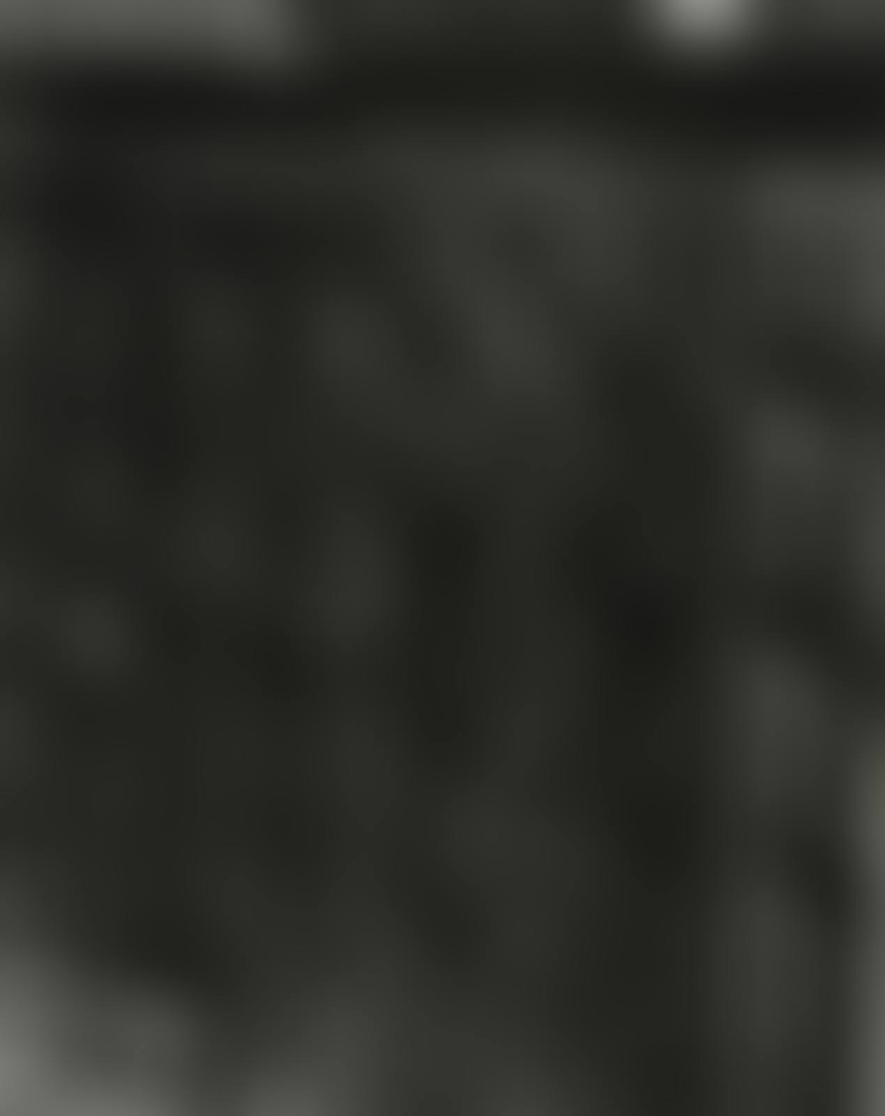 Untitled (East 100th Street facade),  from "East 100th Street" (preview)