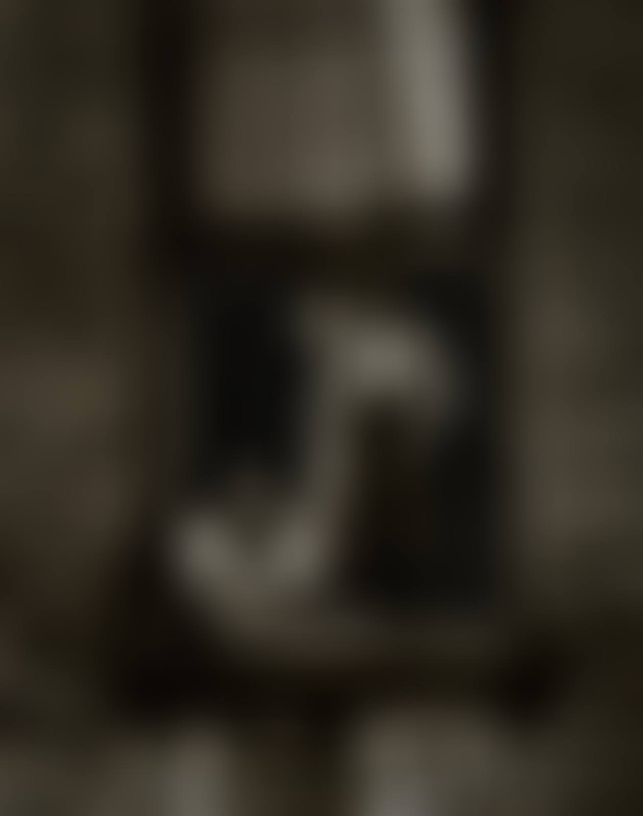 Untitled (Mother and child looking out of screened window),  from "East 100th Street" (preview)