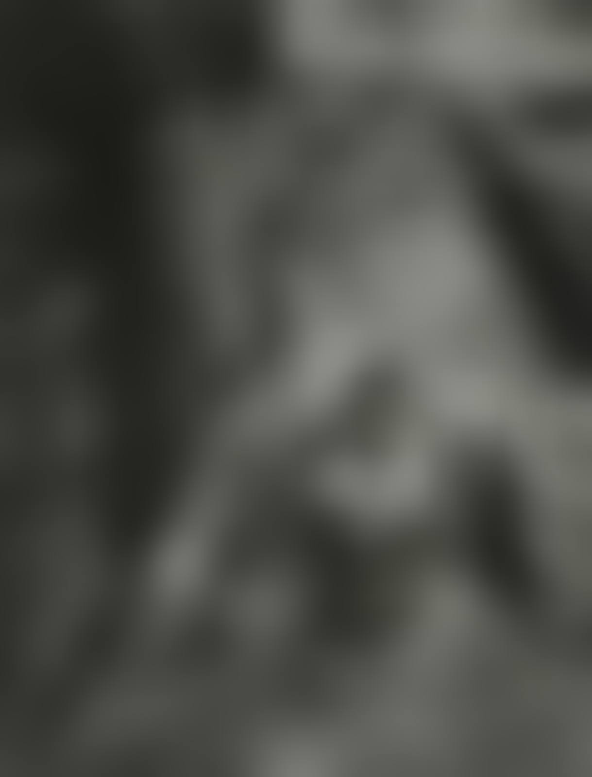 Untitled (Boy with pigeon),  from "East 100th Street" (preview)