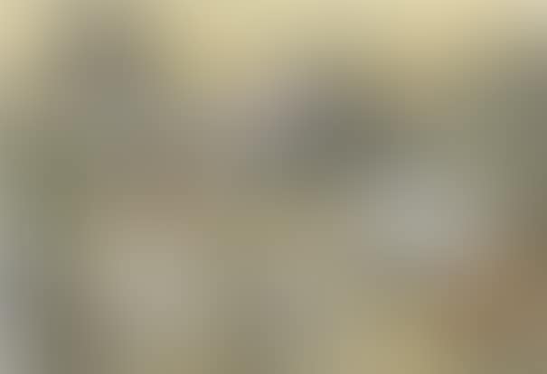 Perfume, Pollen, Hysteria (preview)
