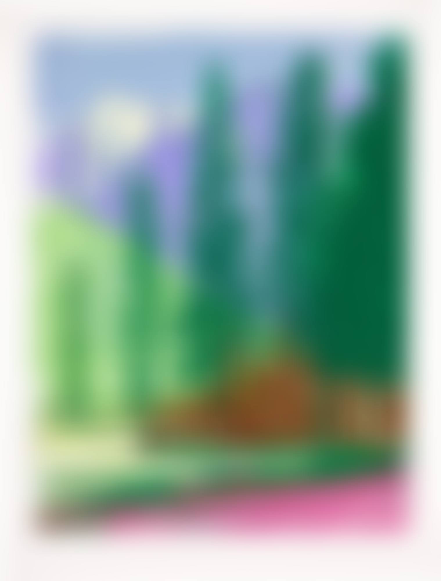 UNTITLED NO. 12 (preview)