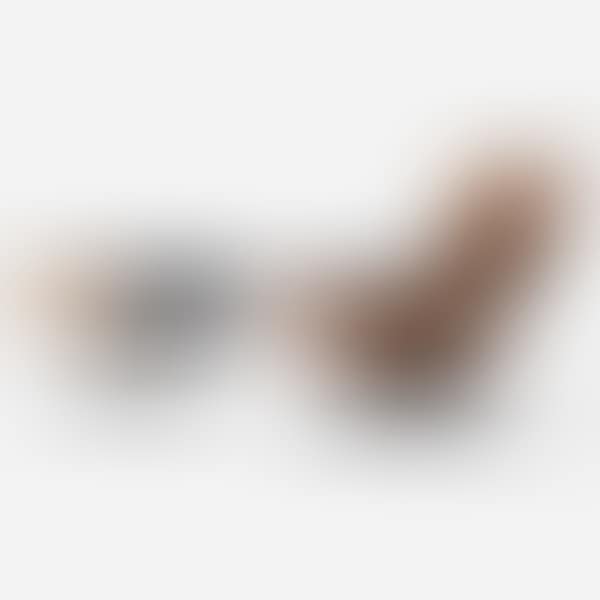 670 lounge chair and 671 ottoman (preview)