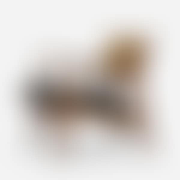 lounge chair, model U-430 (preview)