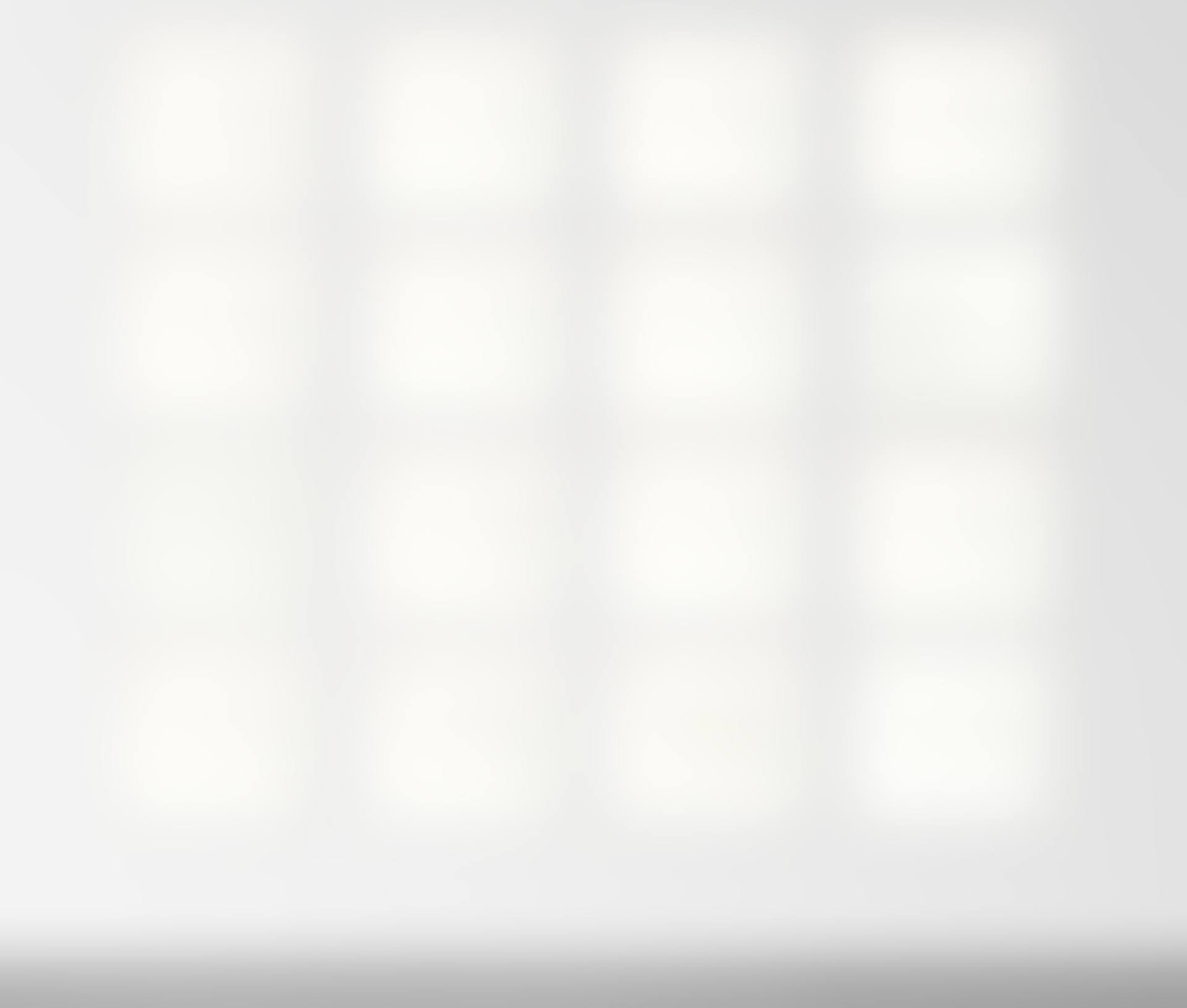 UNTITLED (SCHELLMANN 102-117) (preview)