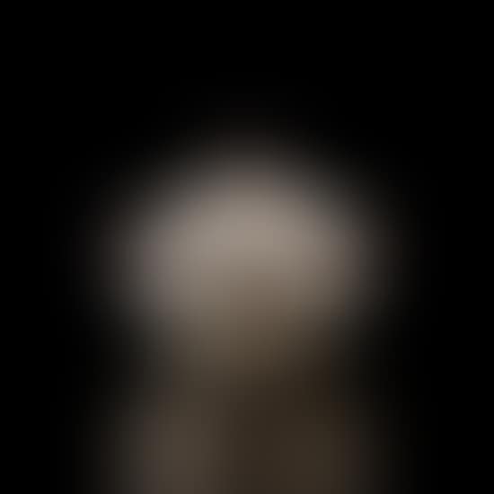 Covered bowl (preview)