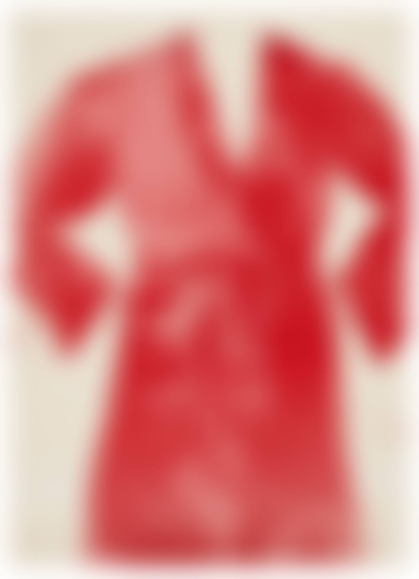 Red Bathrobe (preview)