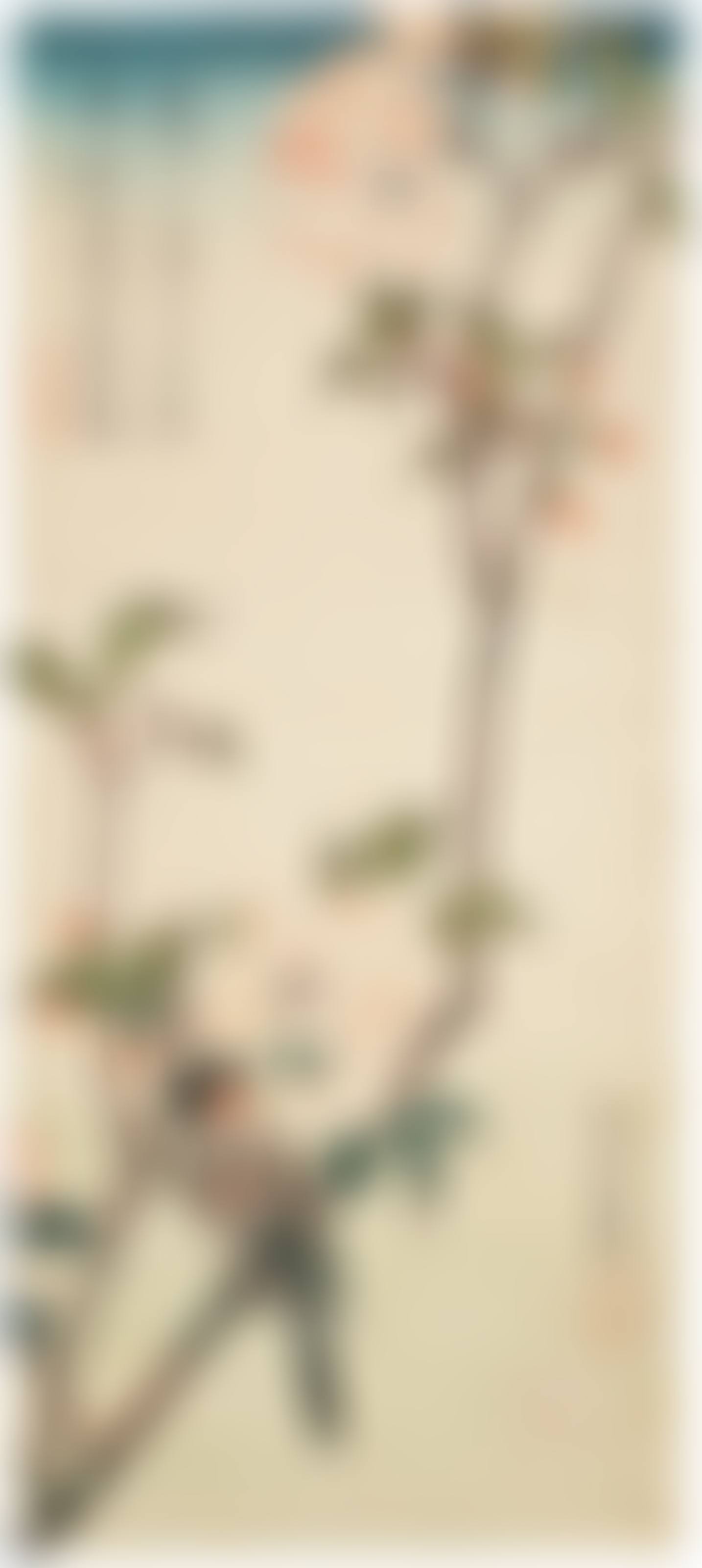 Aronia and bullfinch (preview)