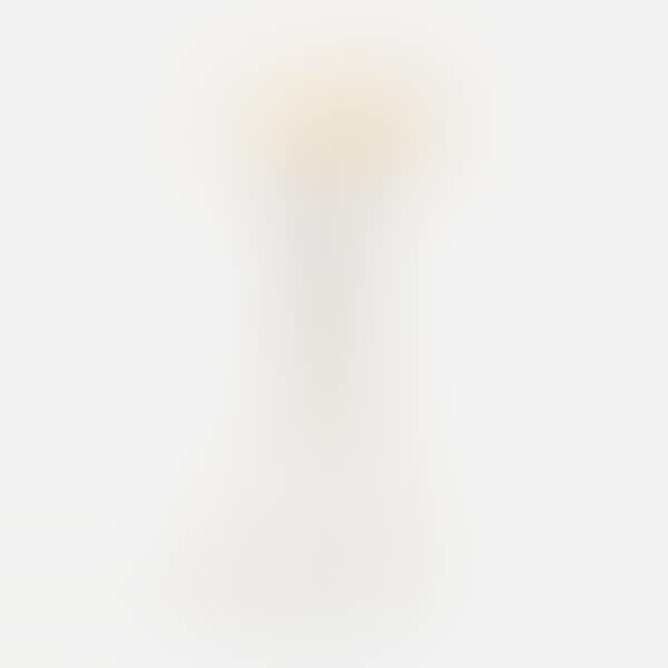 floor lamp, model 201-M (preview)