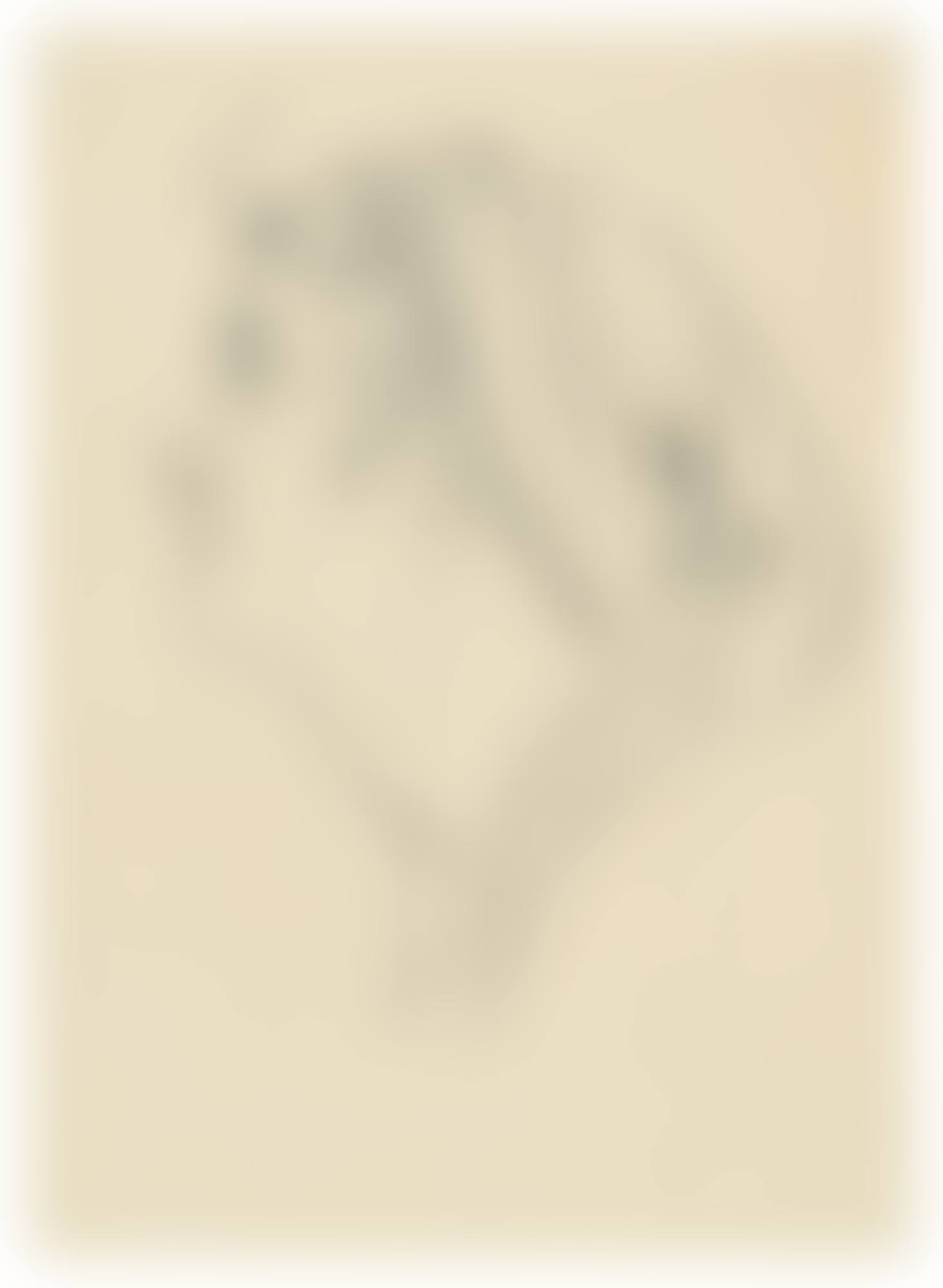 Head of a woman wearing a scarf (preview)