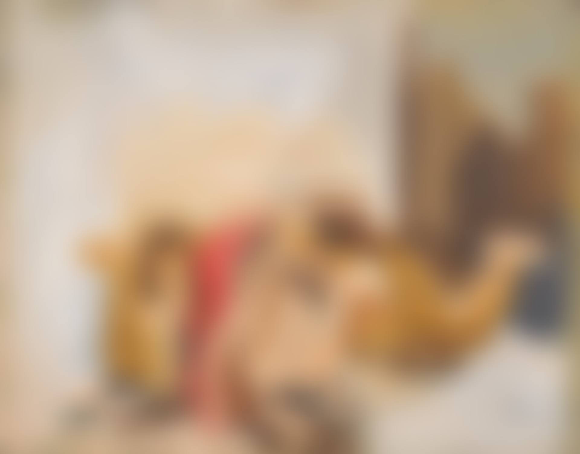 Camels resting (preview)