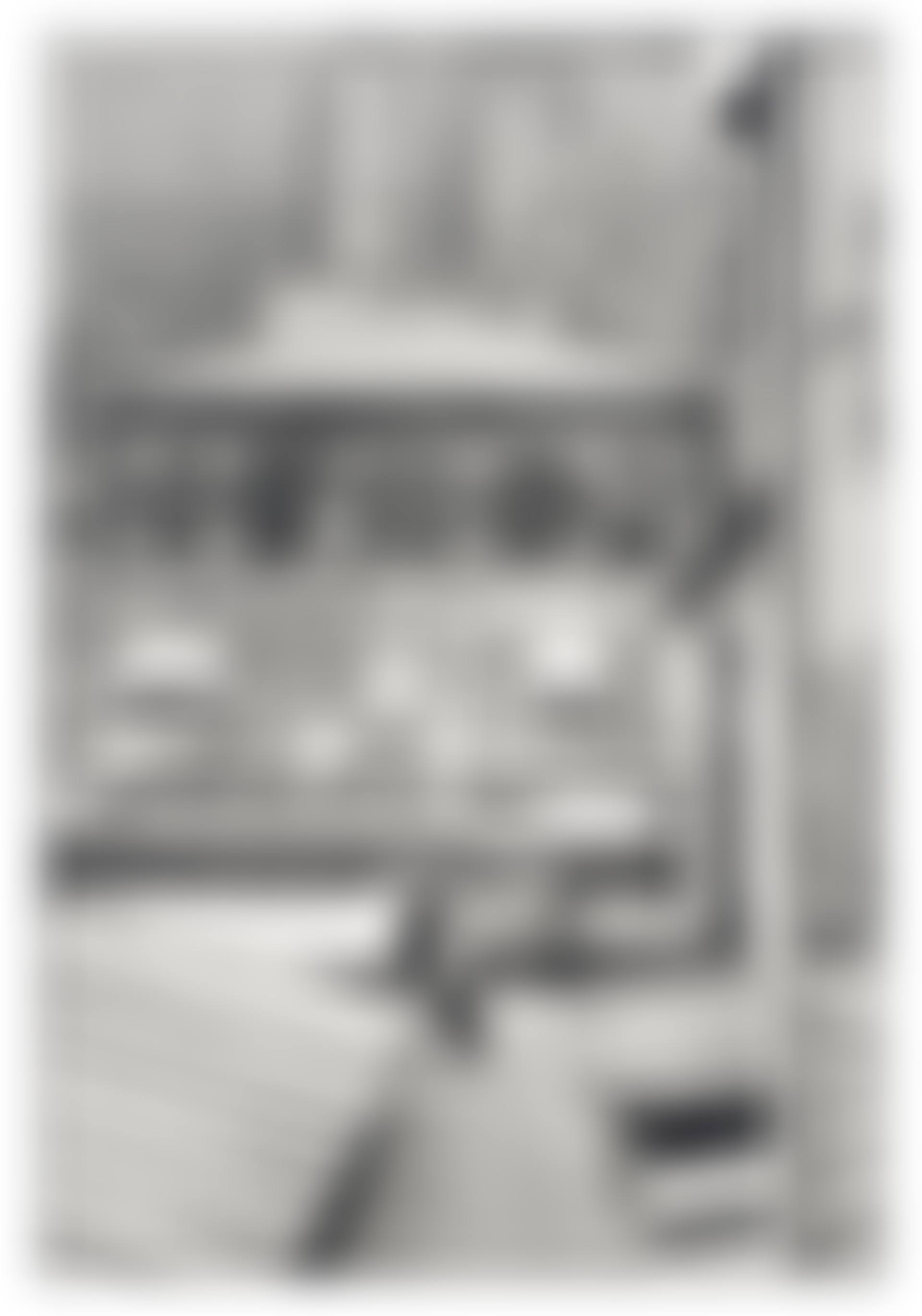 Hotel Courtyard, rue de la Boetie, Paris (preview)