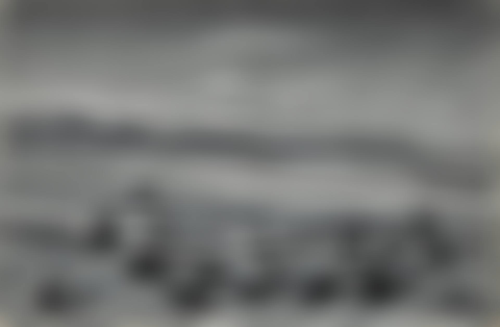 STUDY FROM NATURE (STUDY FOR 'THE WHITE HORSE BY THE GATE') (preview)