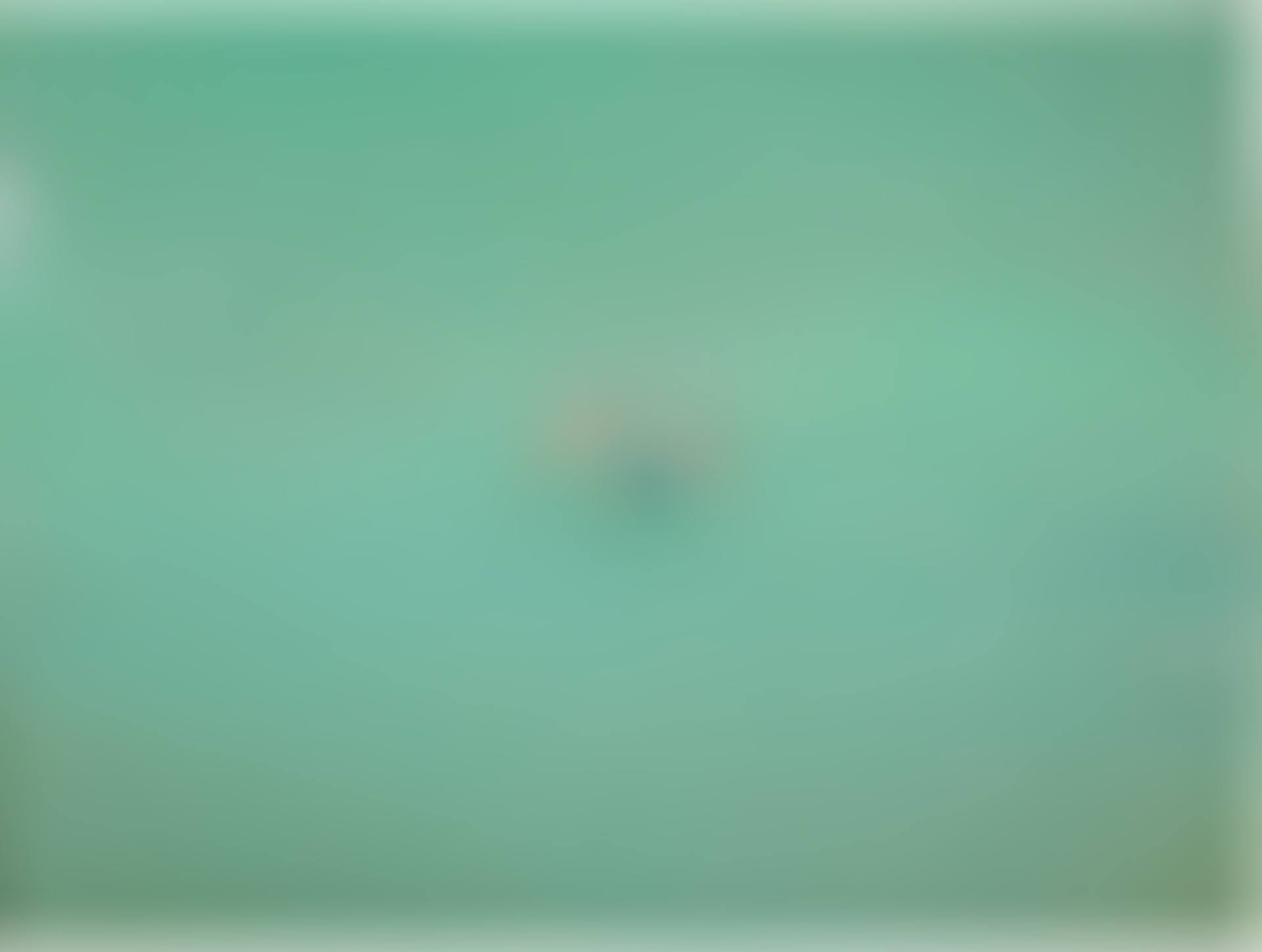 'UNTITLED (JULY 28, 2012 3:57 PM)' (preview)