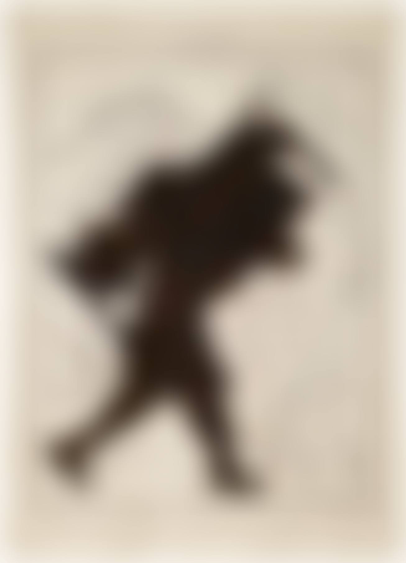 PORTER SERIES: RUSSIE D'EUROPE (MAN WITH BED ON BACK) (preview)