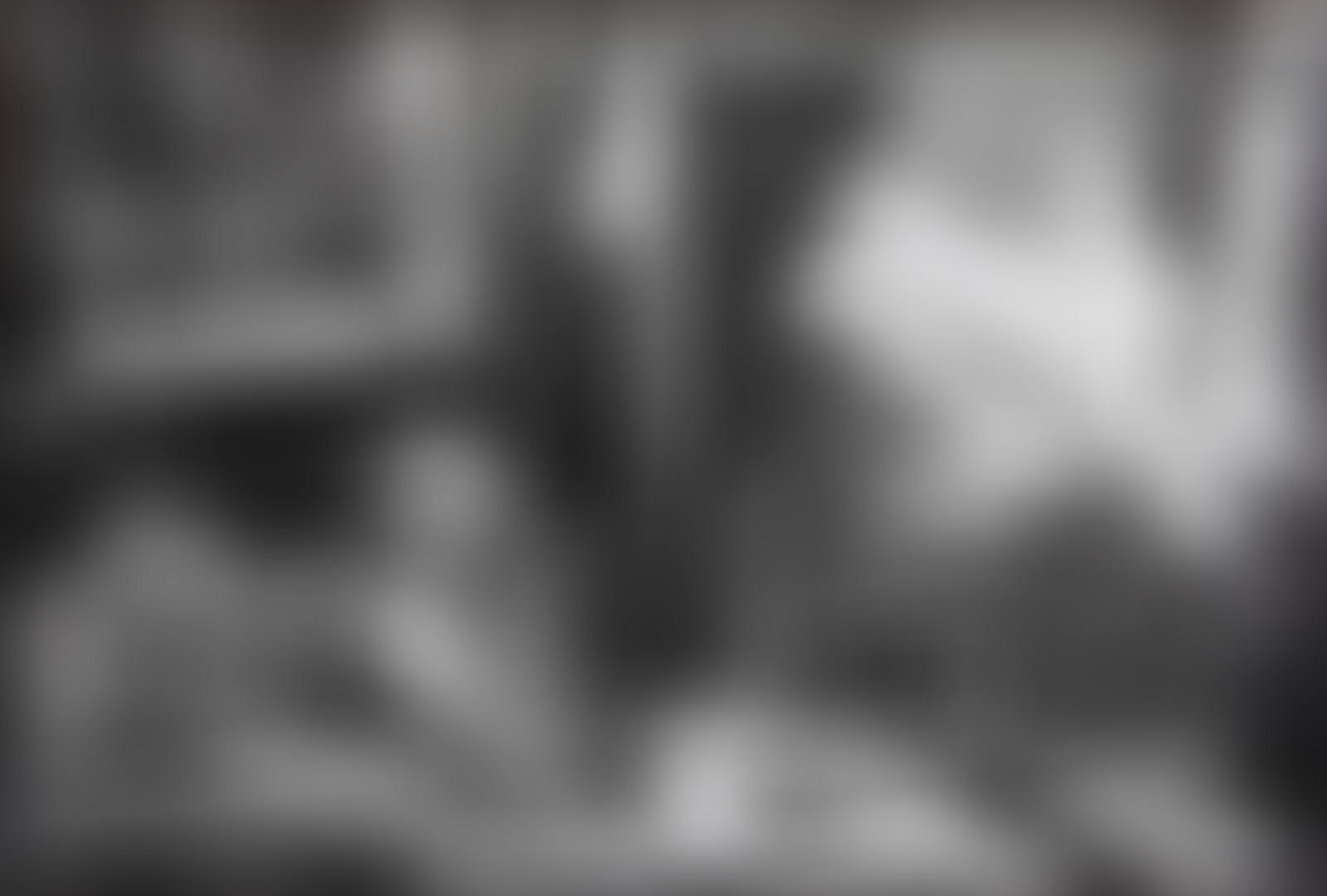 Matisse with Doves, Vence (preview)