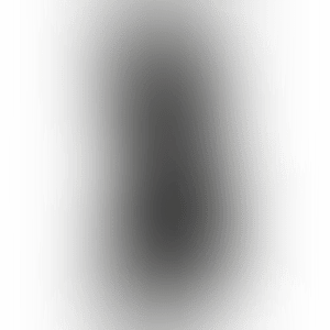 Companion (Passing Through) Black (preview)