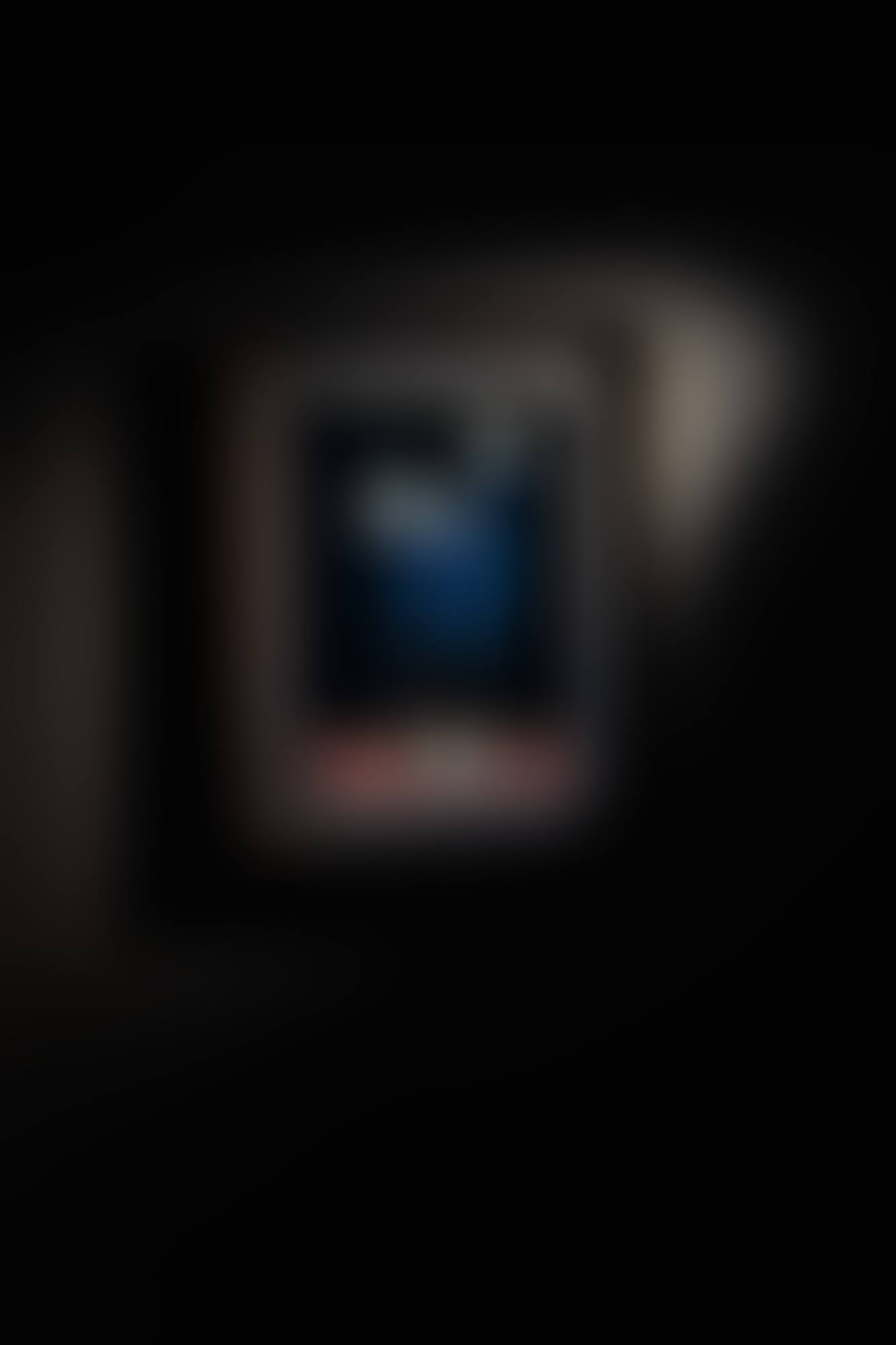 FLEURS DANS UN POT BLEU ET BLANC (preview)