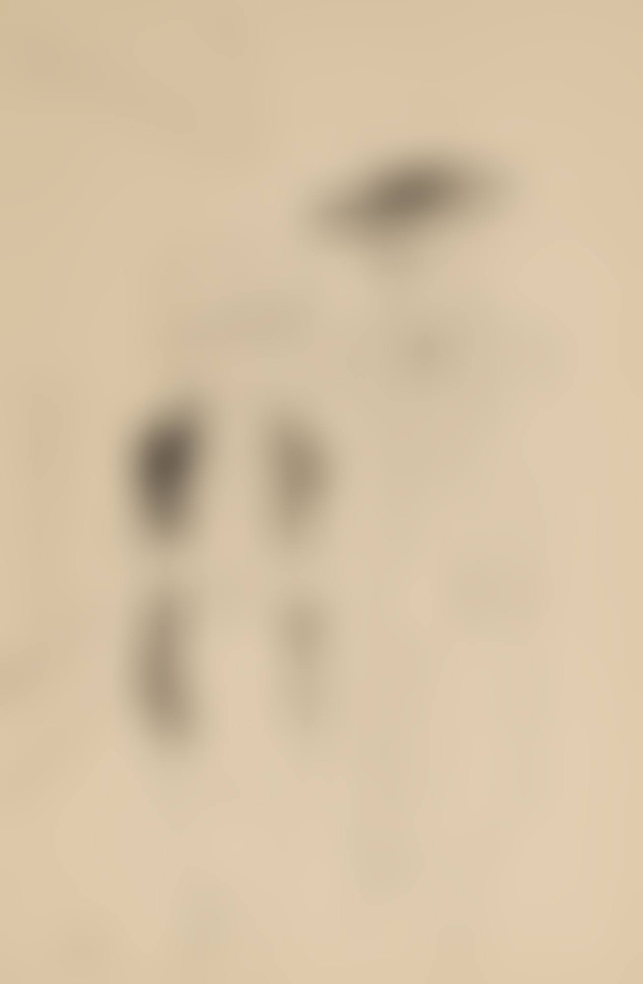 PAAR (PAIR) (preview)