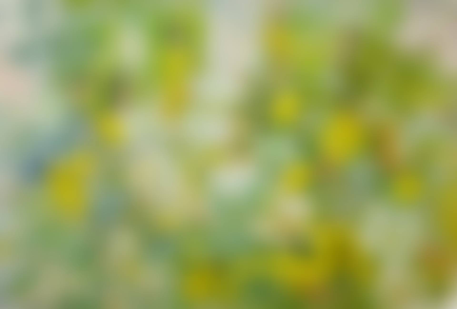 FILLES DANS LE JARDIN (GIRLS IN THE GARDEN) (preview)