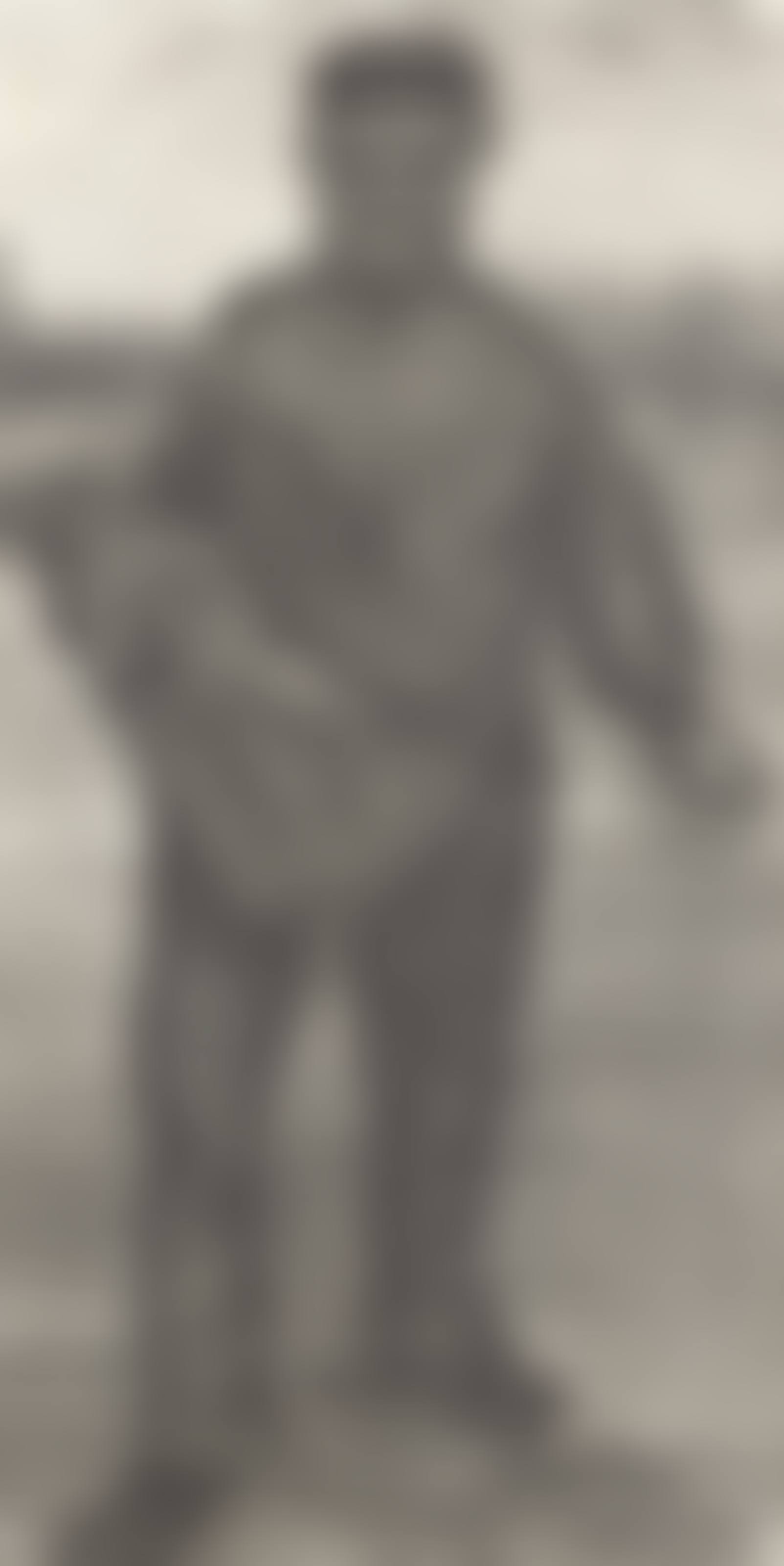 De zaaier: van voren gezien (The Sower: Front View) (preview)