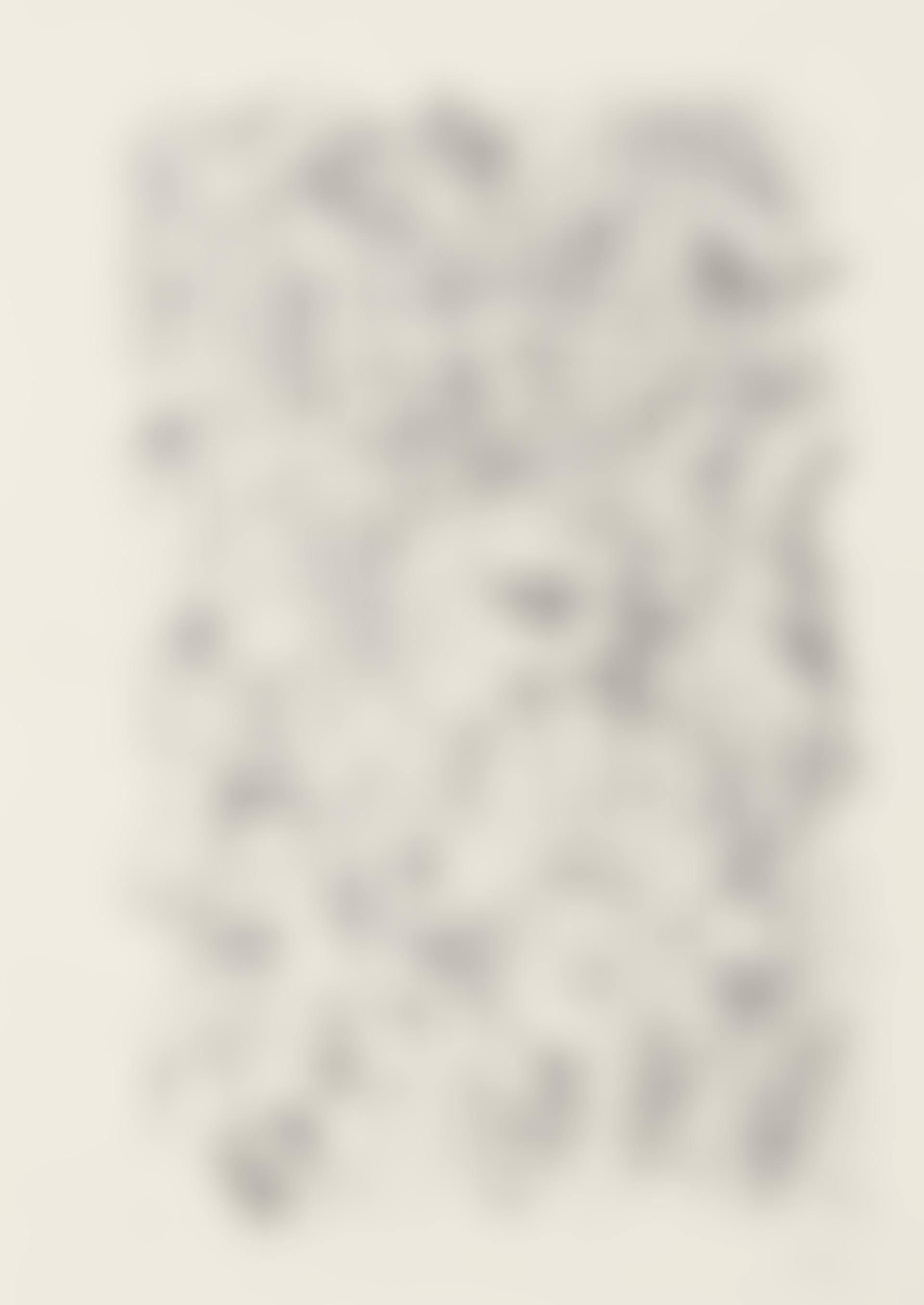 Five Plates, from 'Ecce Homo' (preview)