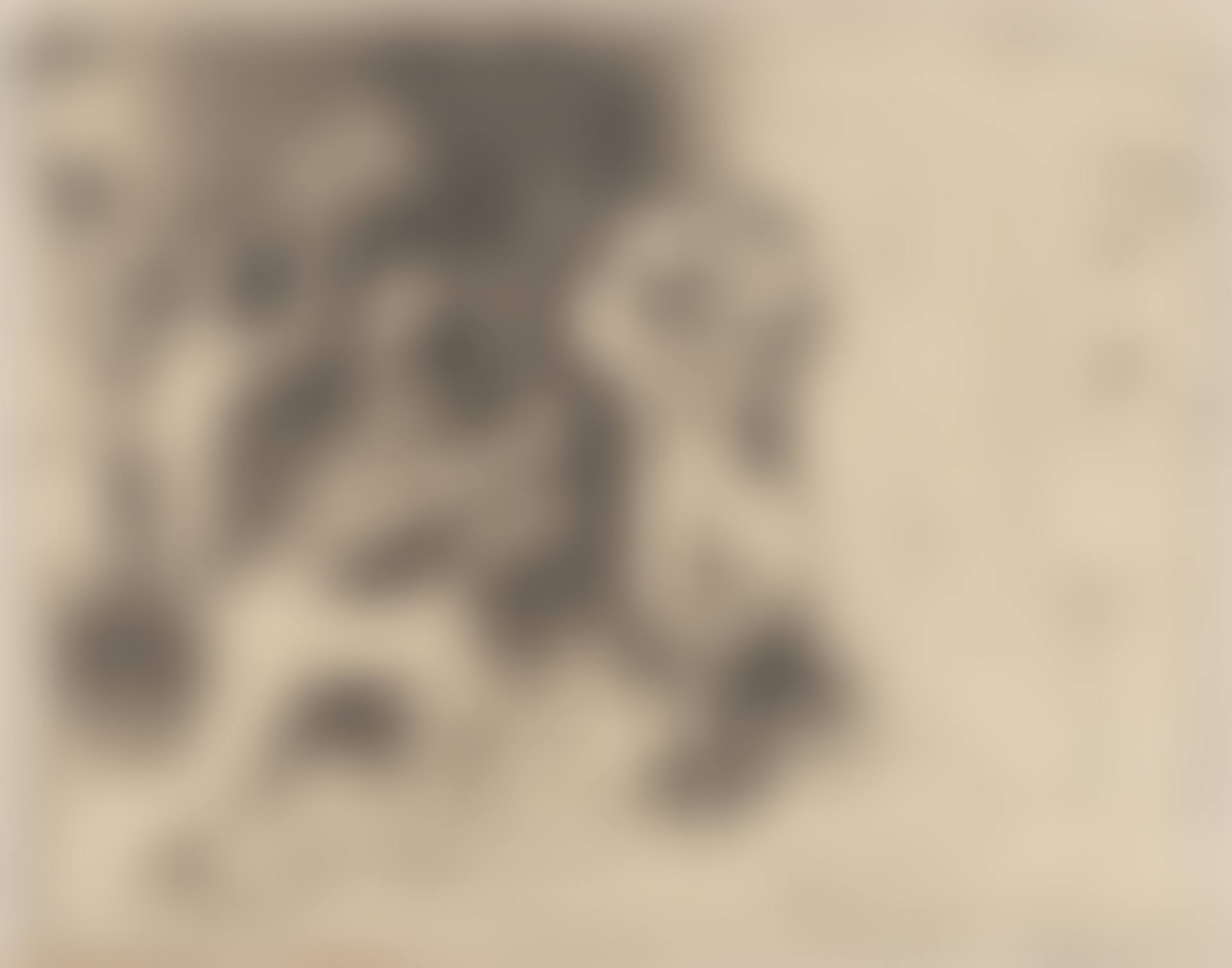 La Danse des Faunes (Bloch 830; Mourlot 291) (preview)