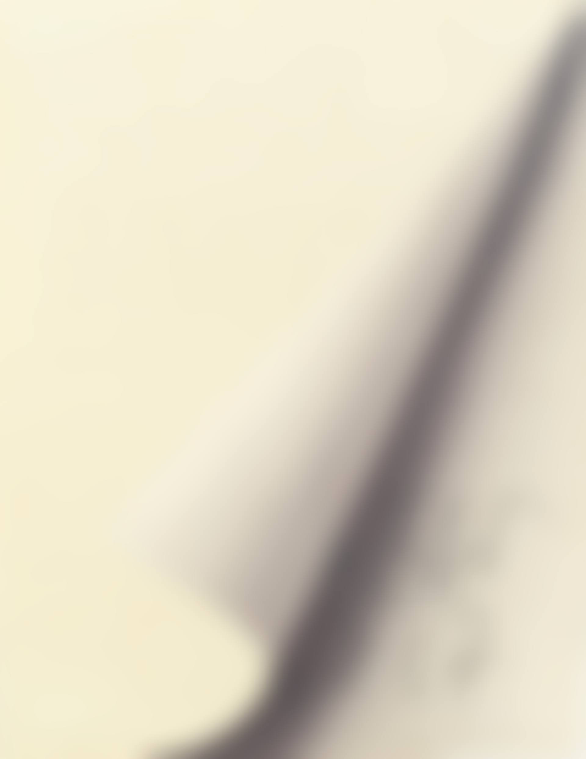 Blattecke (Butin 11) (preview)