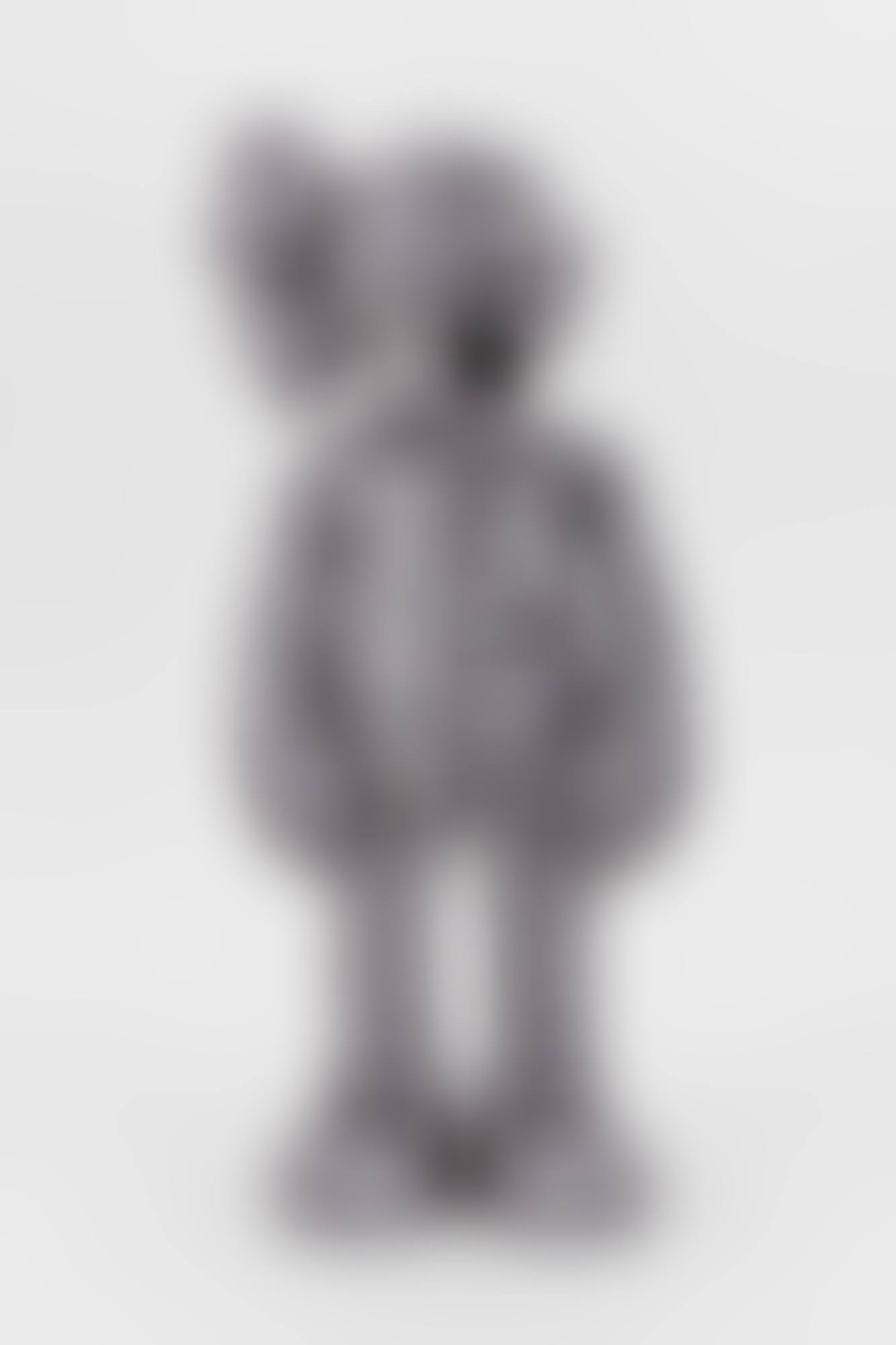 (ORIGINALFAKE) COMPANION (preview)