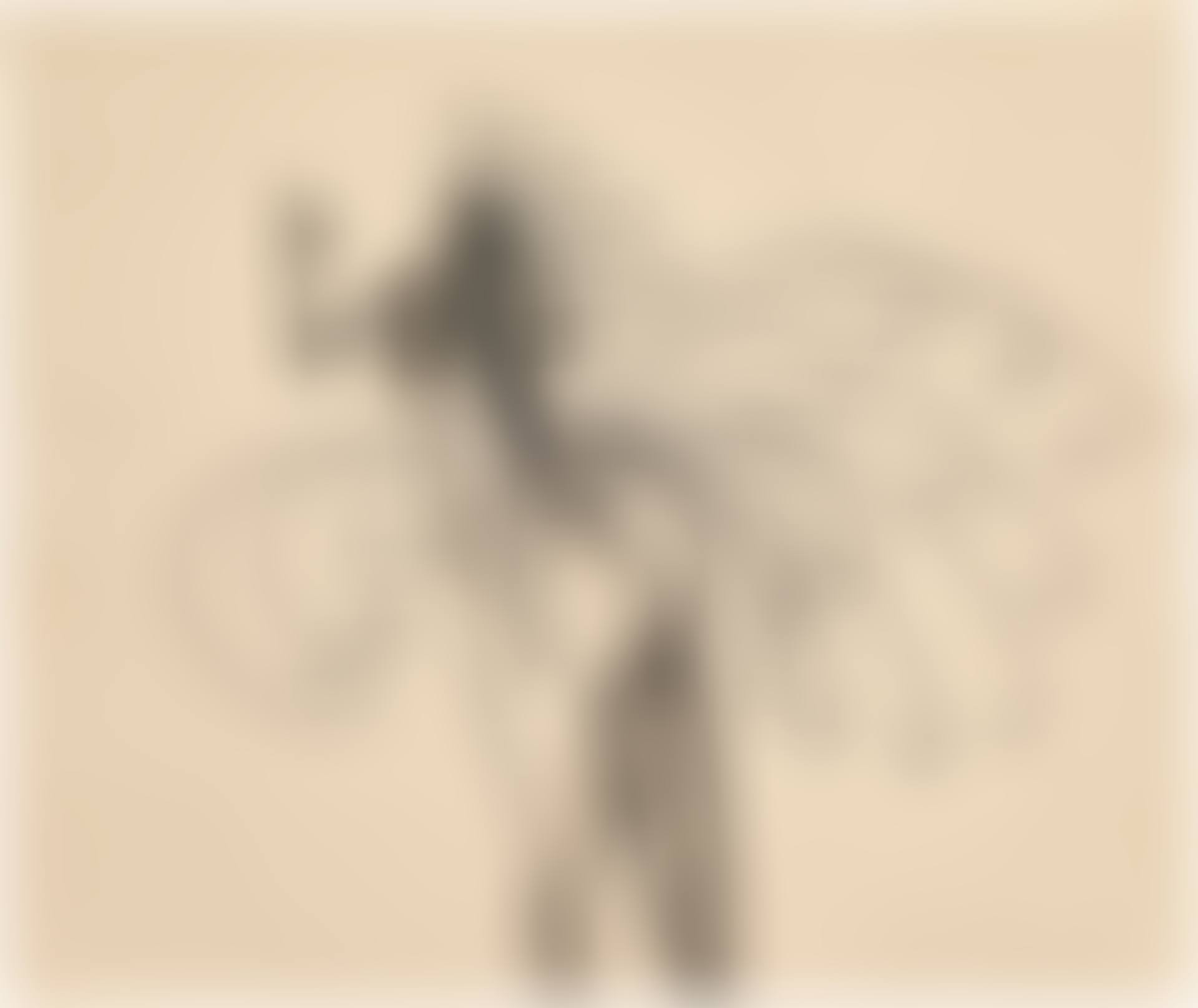 UNTITLED (preview)