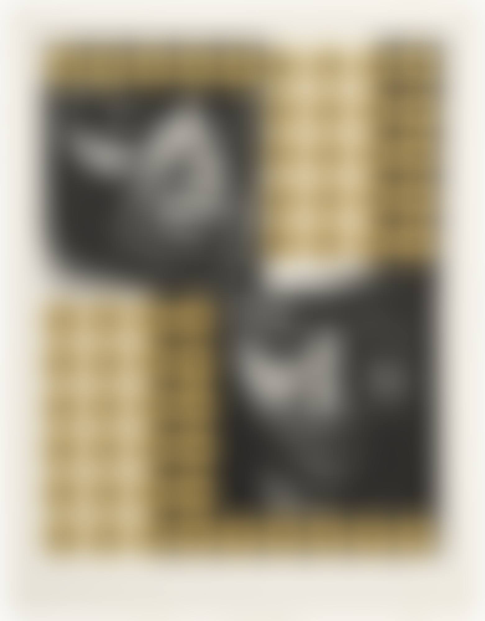 NEGRO ES BELLO II (preview)