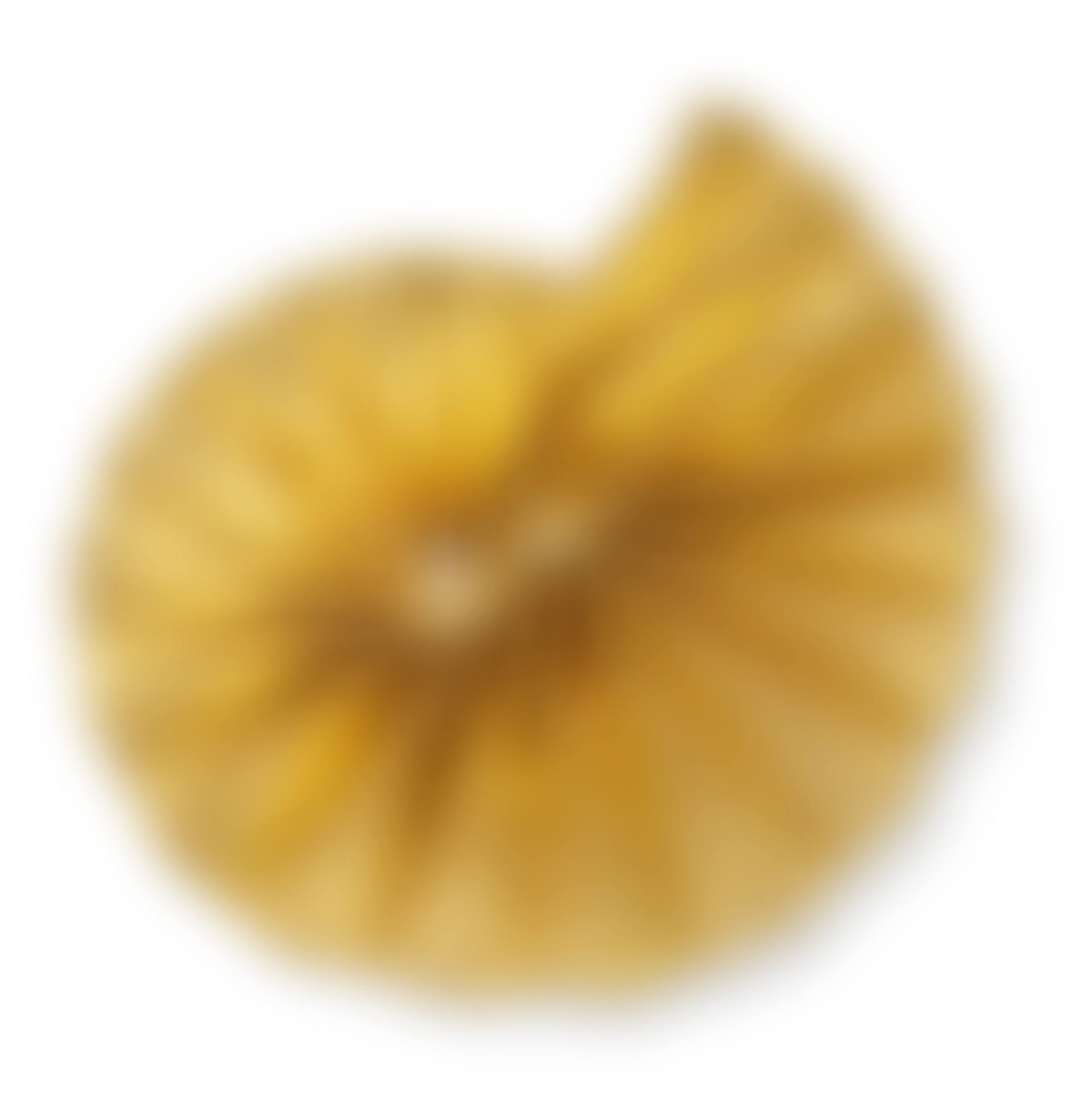 Argonauta (preview)