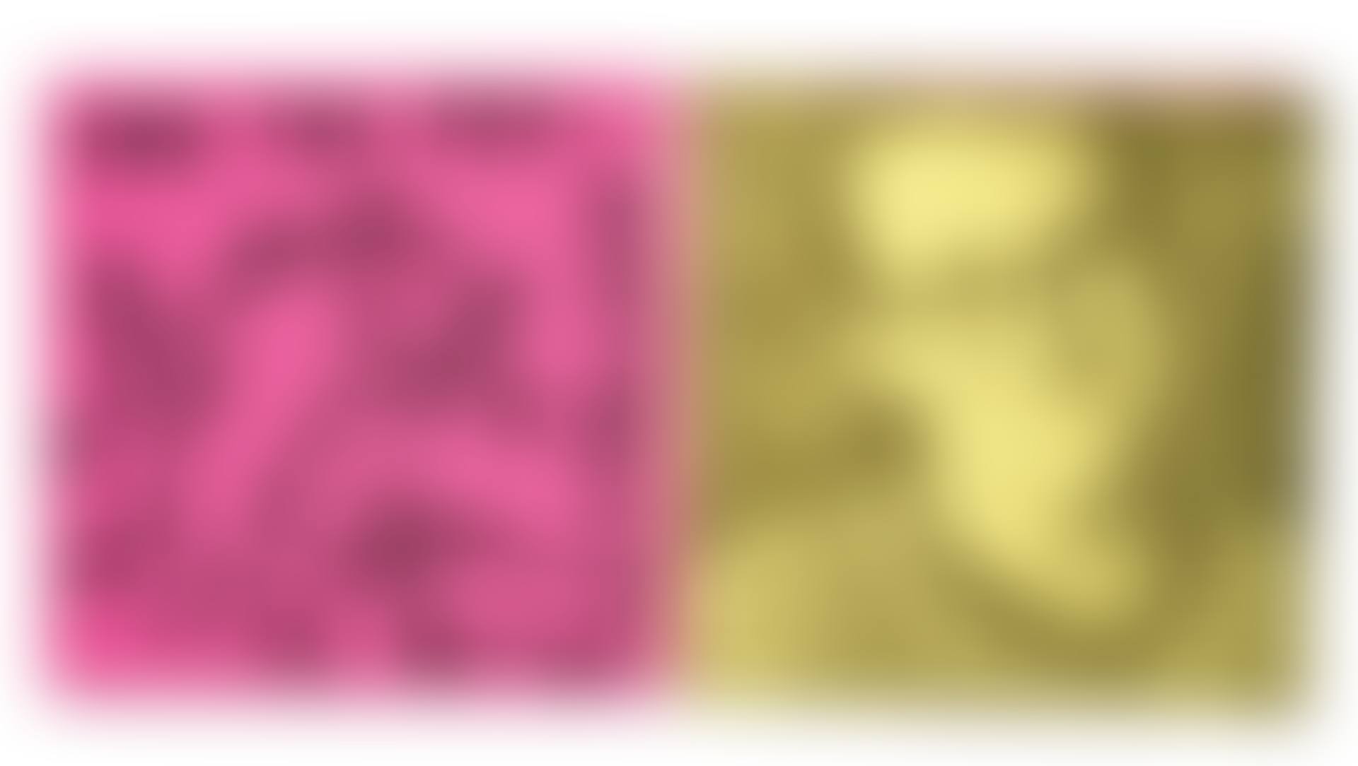 Untitled (For the Pup) (preview)