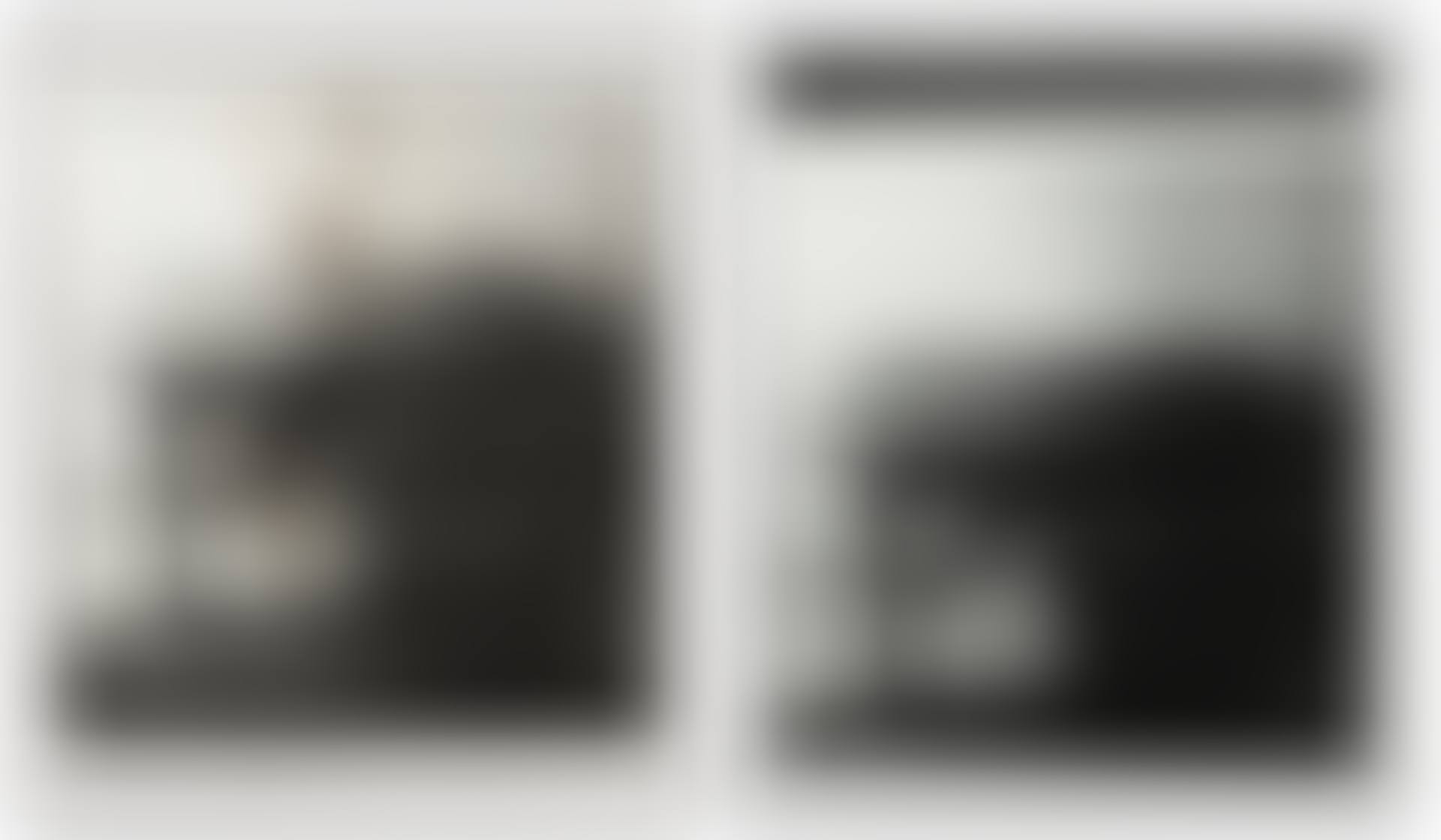 UNTITLED (DIPTYCH) (preview)