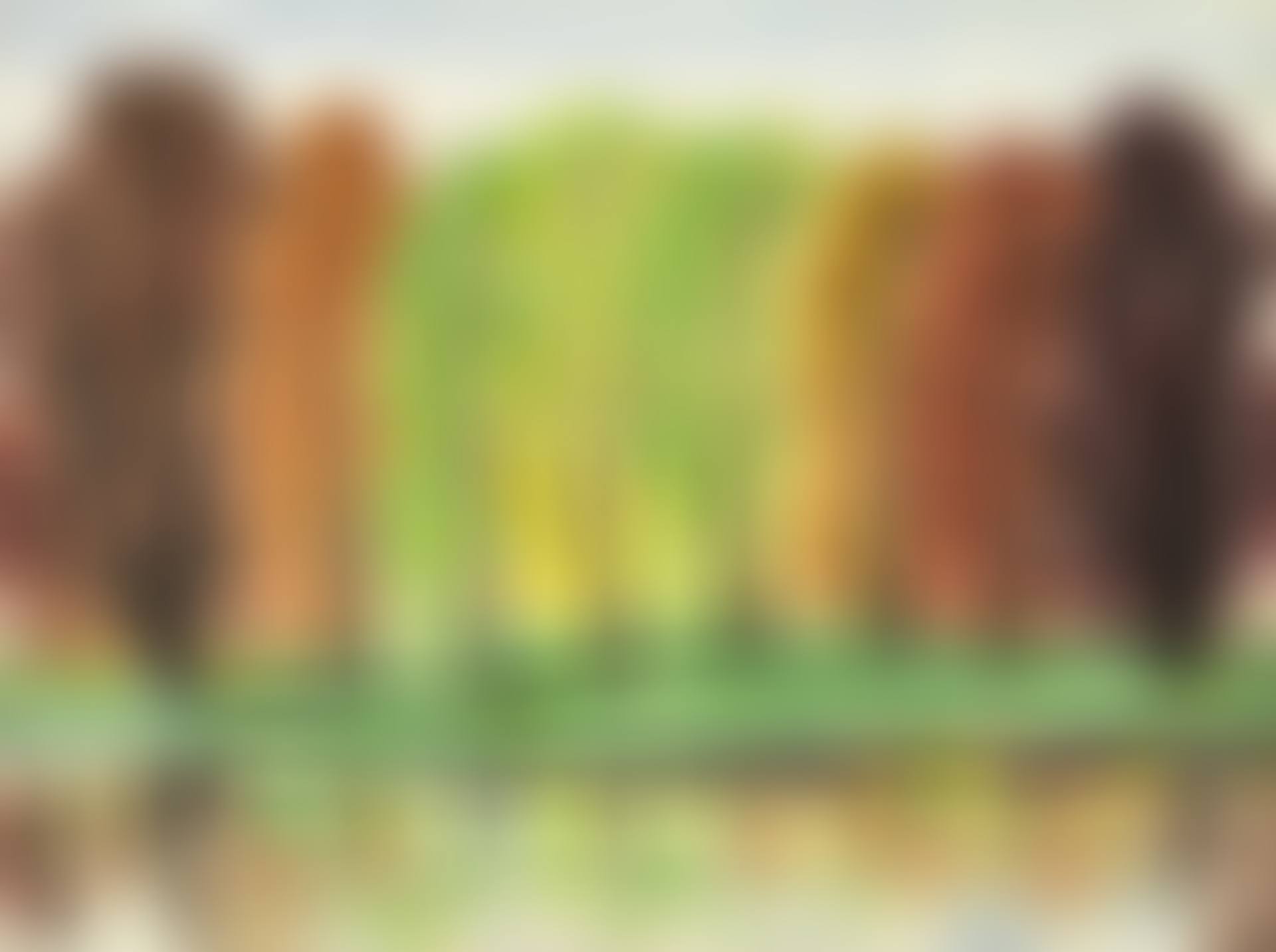 AUTUMN RIVER SCENERY (preview)