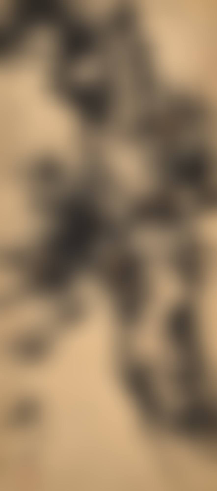 ANCIENT PINE (preview)